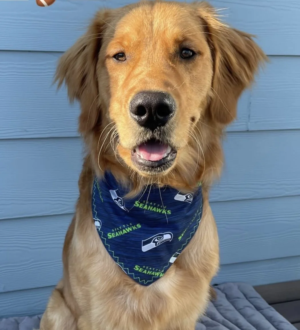 seahawks bandana.jpg
