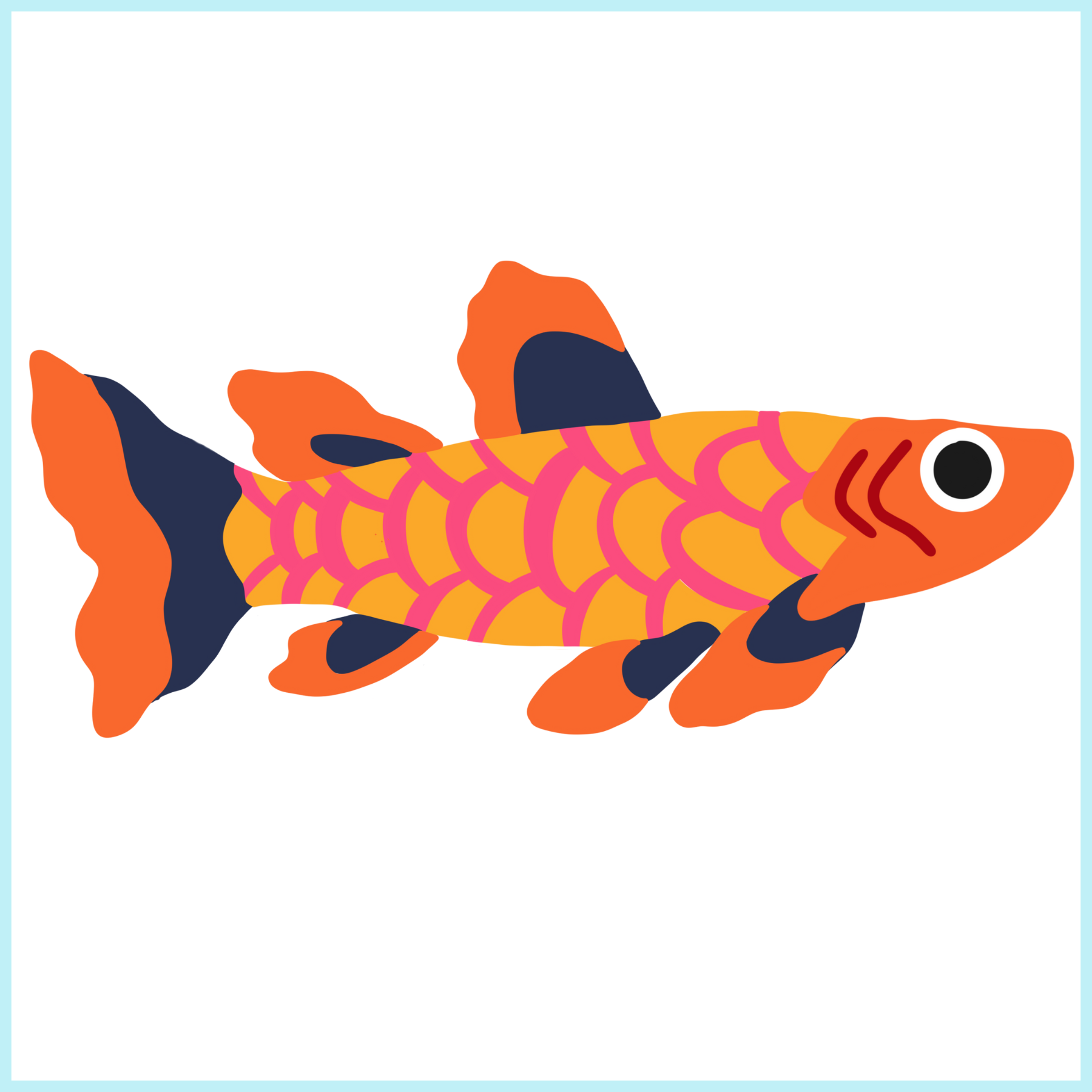 Frizzle the Orange Fin