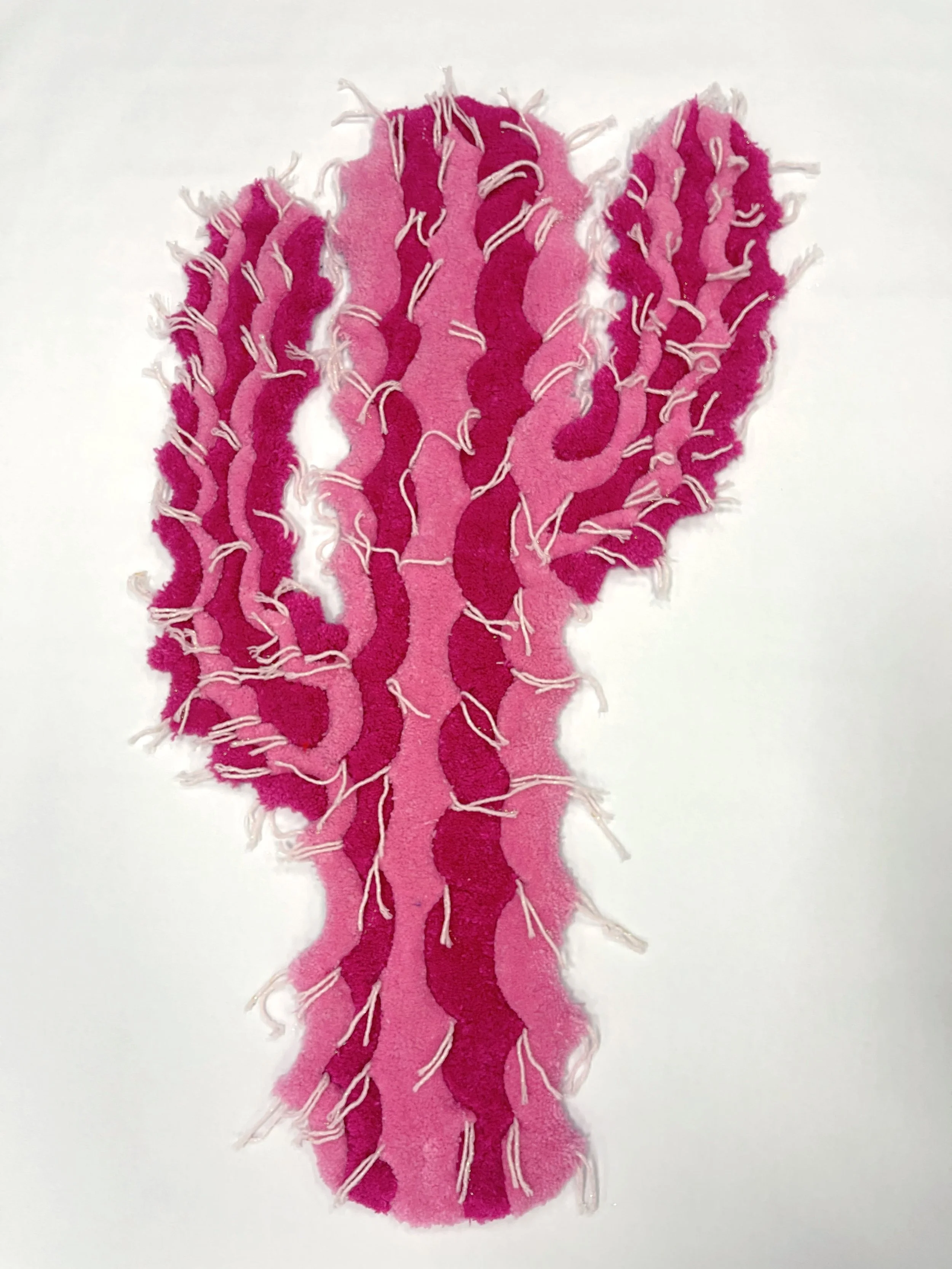 pink cactus 1.jpg