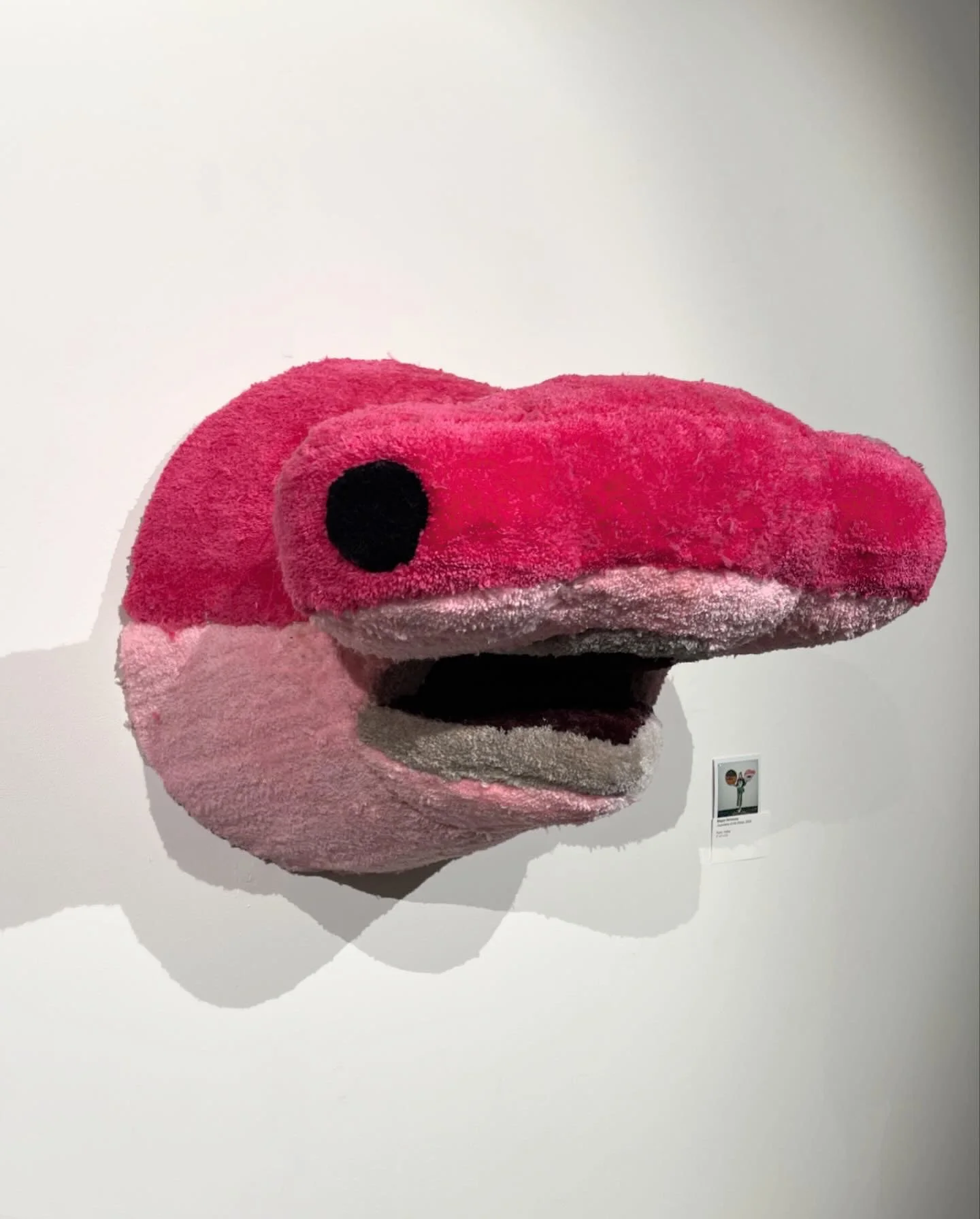 shark head.jpg