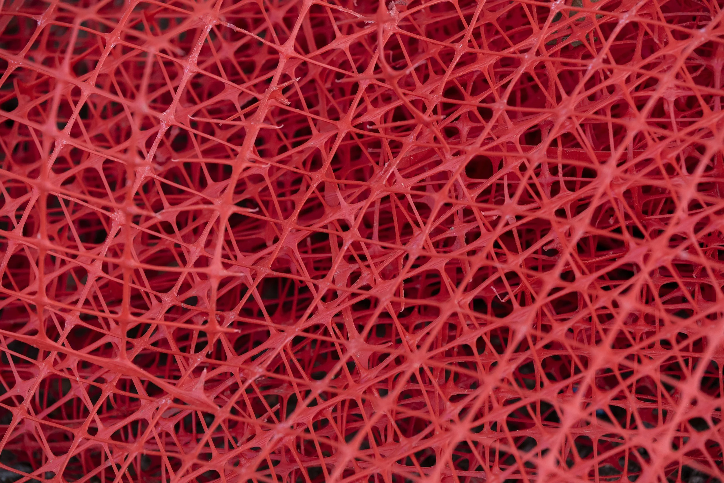 Close-up of a red, spiky, lattice-like structure with many interconnected sharp points.