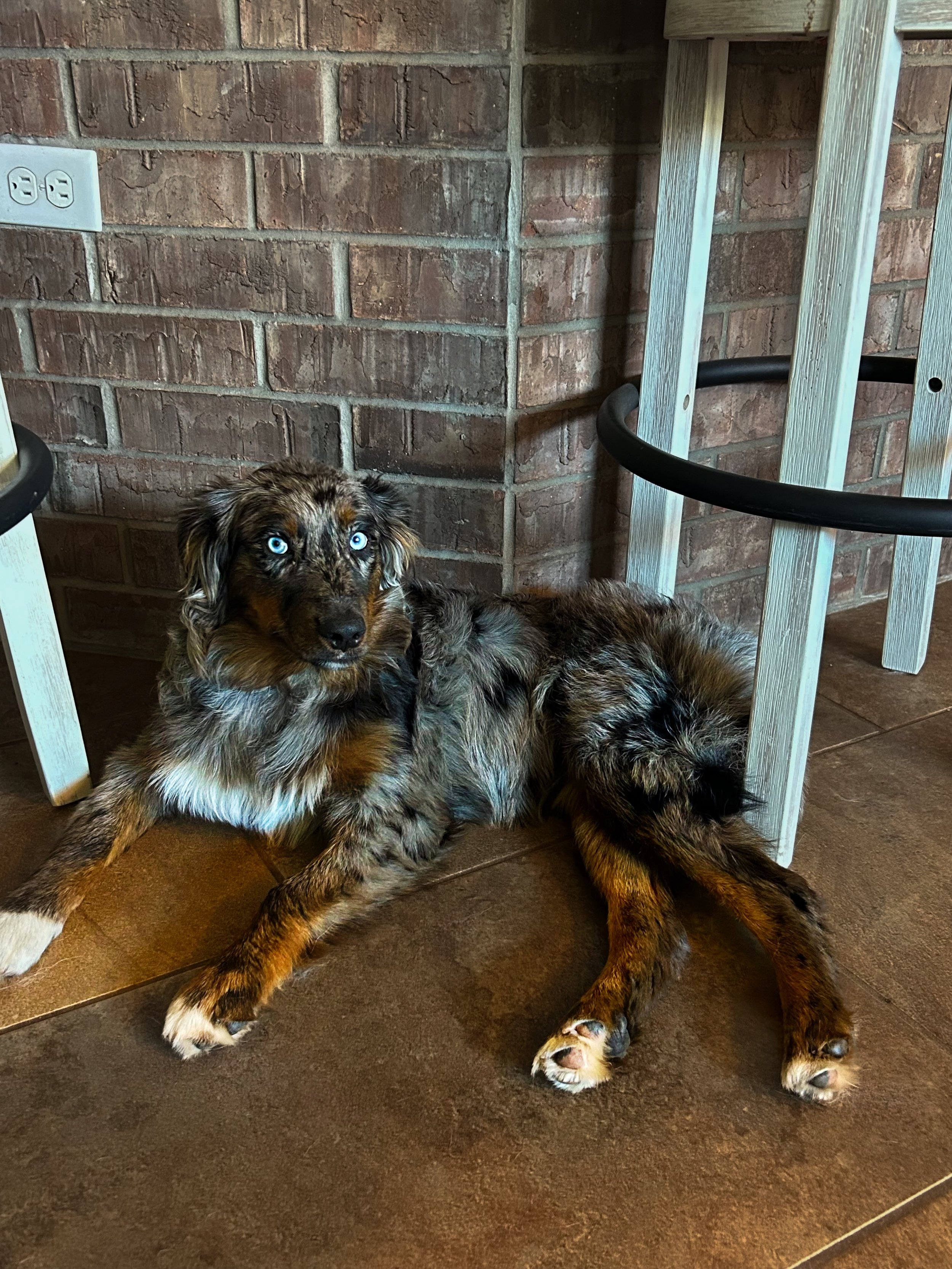 Facelab 2025-11-04 04-51-06.jpeg