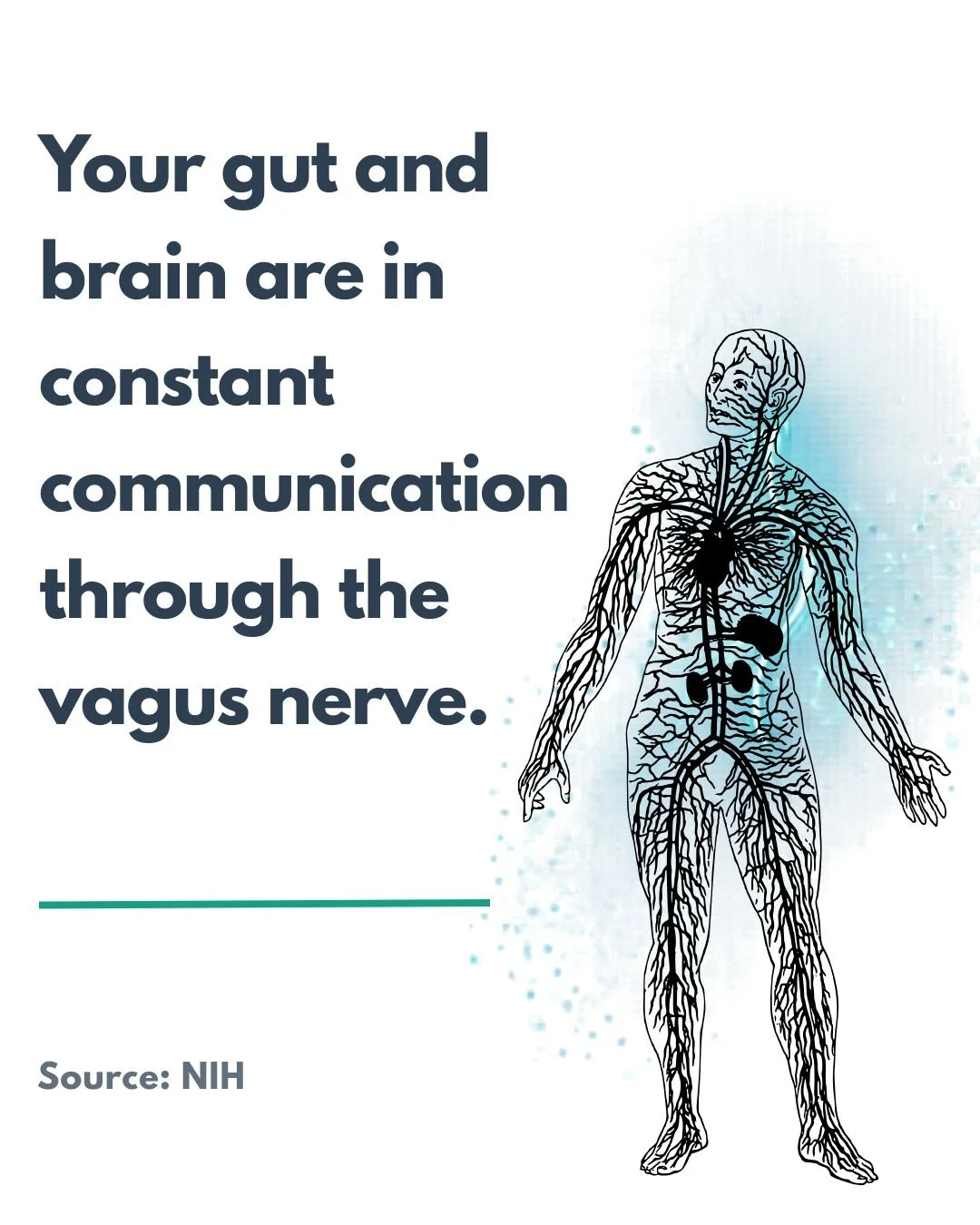Your gut and brain are in constant communication through the vagus nerve.

Most people think stress only travels down&mdash;from a worried mind to a nervous stomach. But the biology tells a completely different story: 80% of the vagus nerve's fibers 