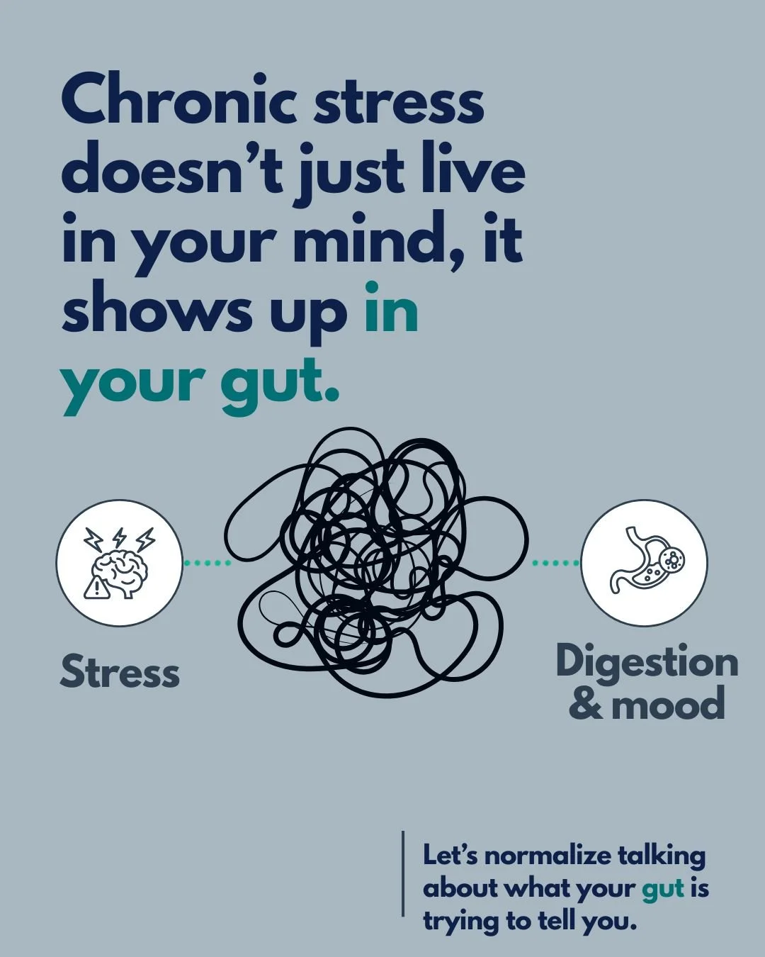 Chronic stress doesn&rsquo;t just live in your mind&mdash;it actively changes the architecture of your gut.

We tend to treat our brains and our digestive tracts as separate departments, but they are linked by a massive two-way superhighway: the vagu