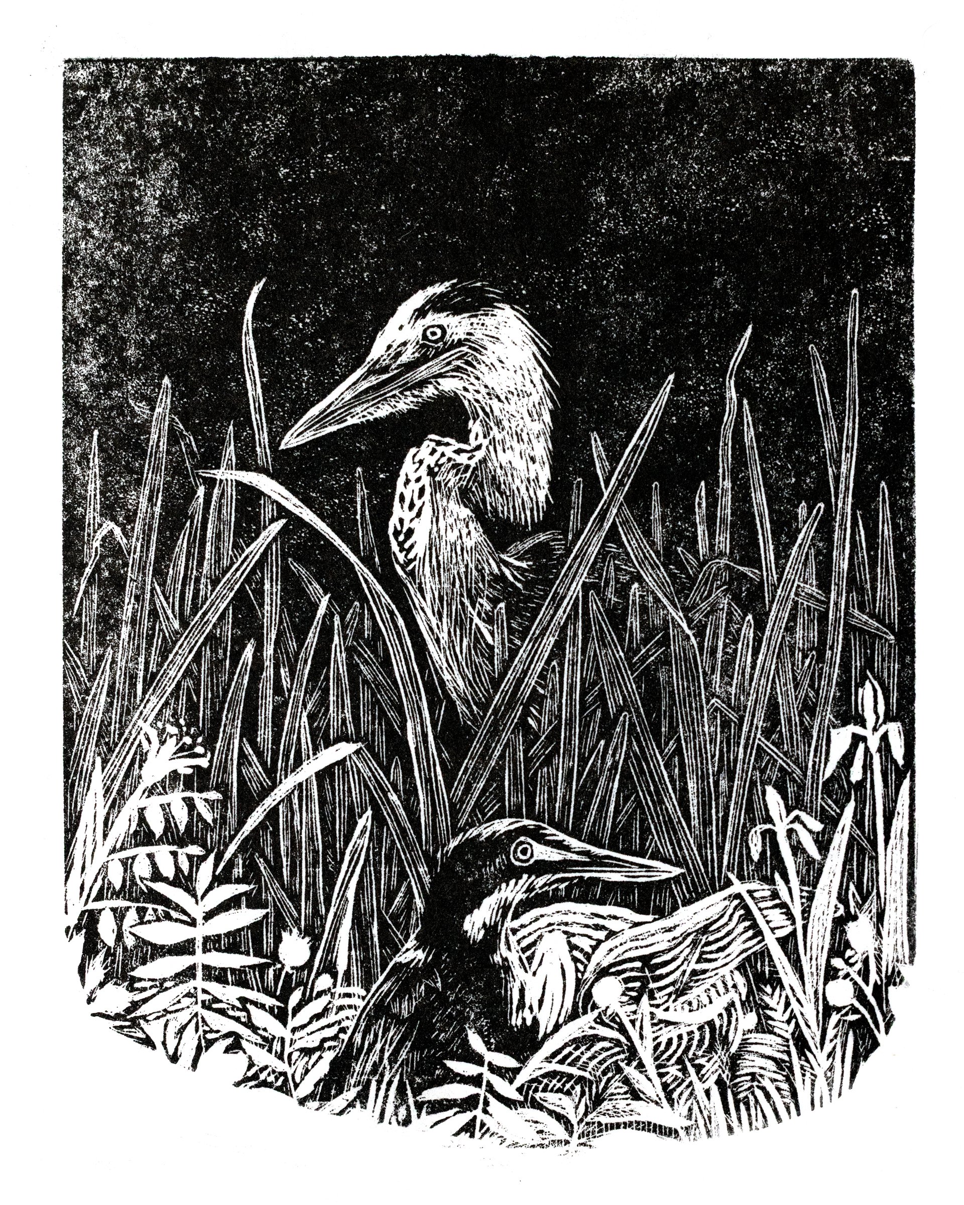 Balanced Herons (4 x 3" wood engraving) 