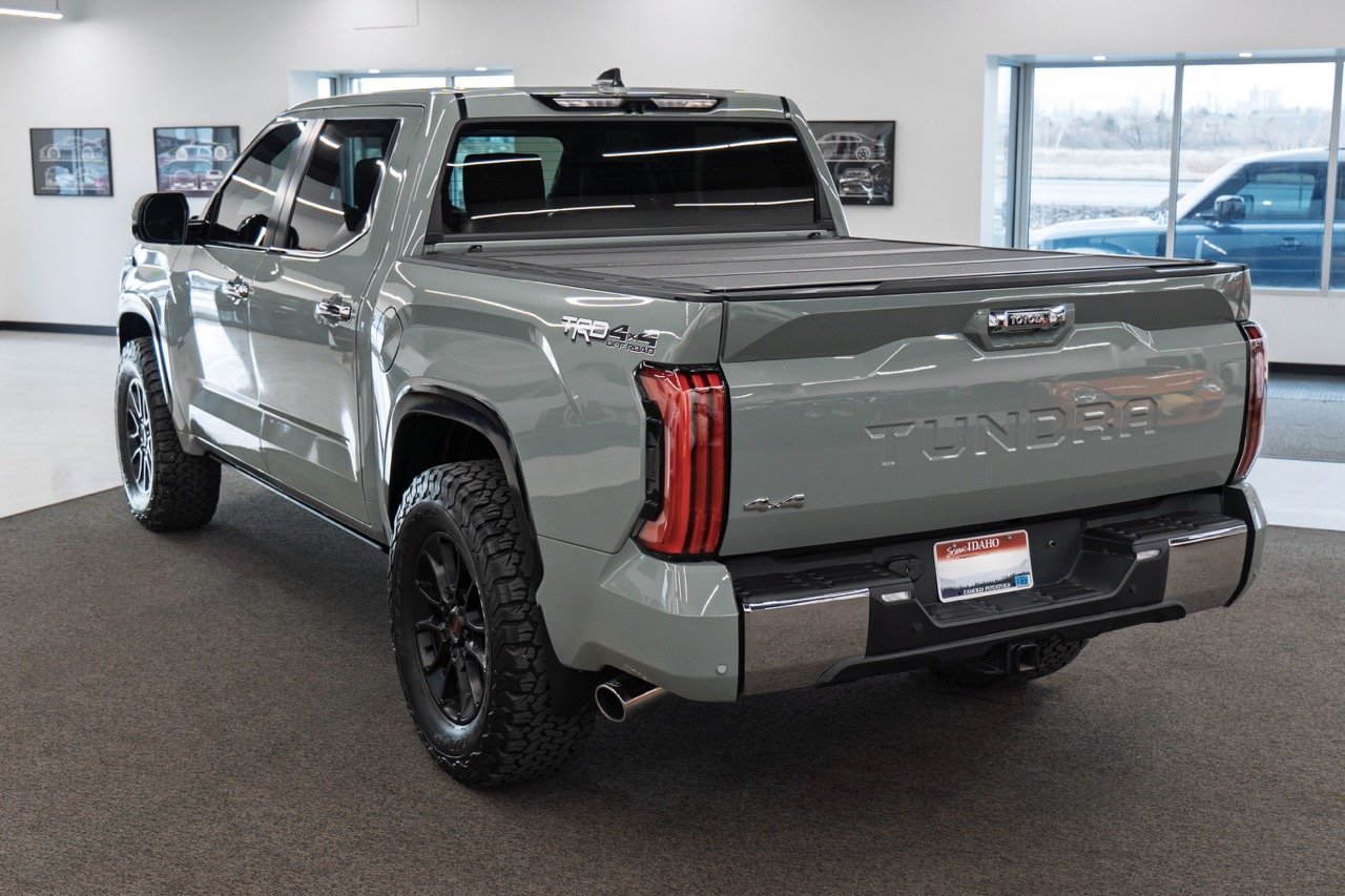 2025-02-17_Tundra_07 Large.jpeg