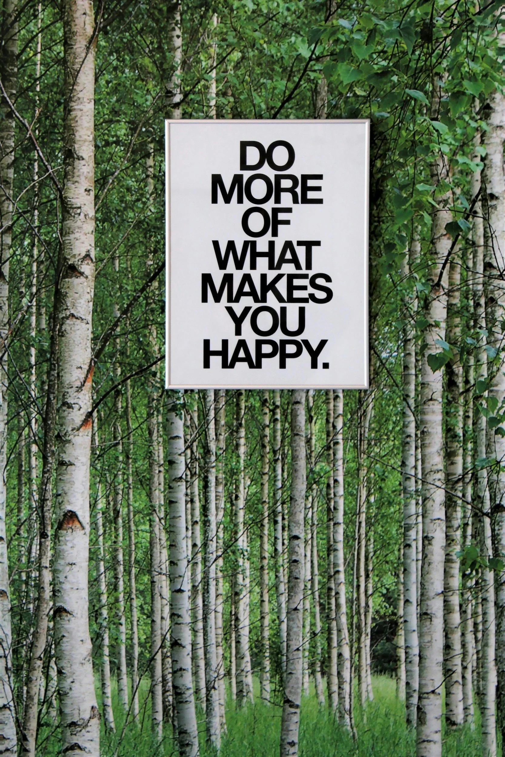 A motivational sign that says 'Do more of what makes you happy' is hanging in a forest with many tall, white-barked birch trees and green leaves.