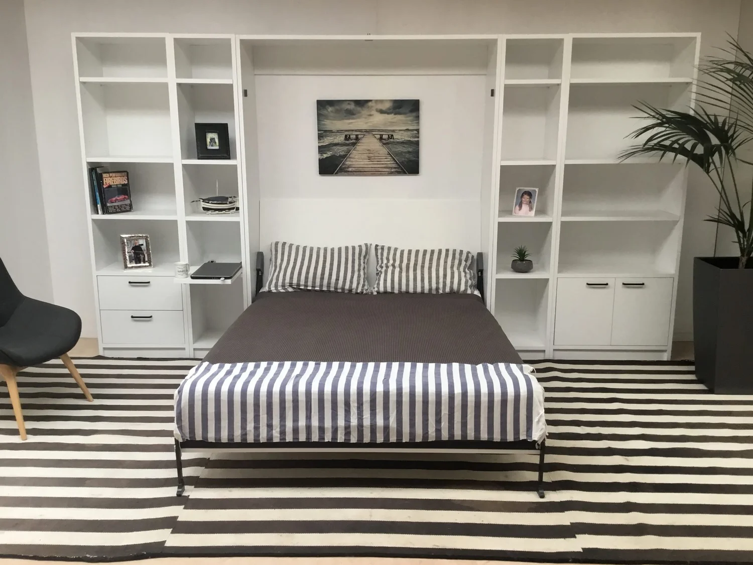 Electric Murphy Fold Away Wall Bed — Queen