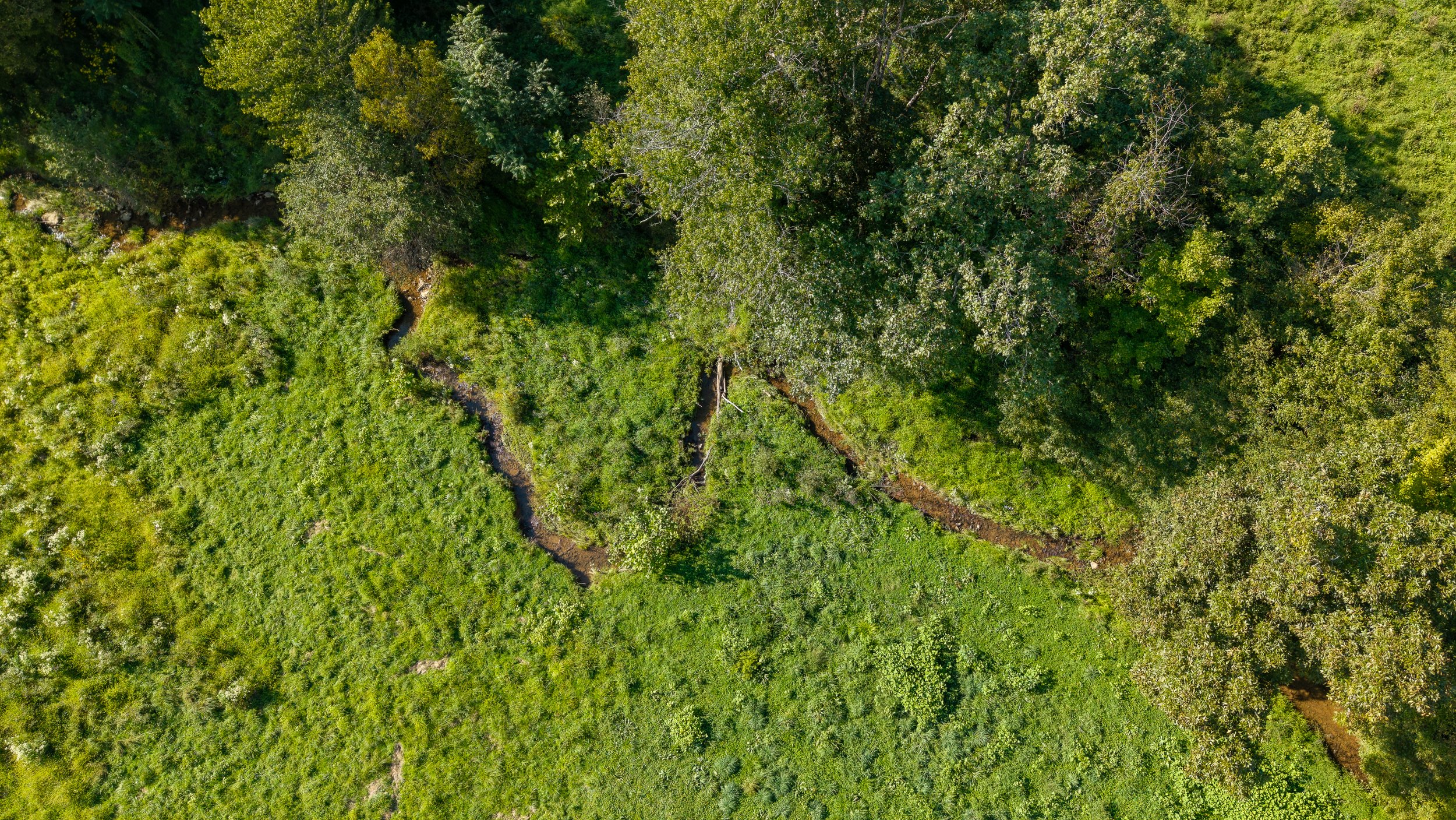  Stream inspection in pasture field.  