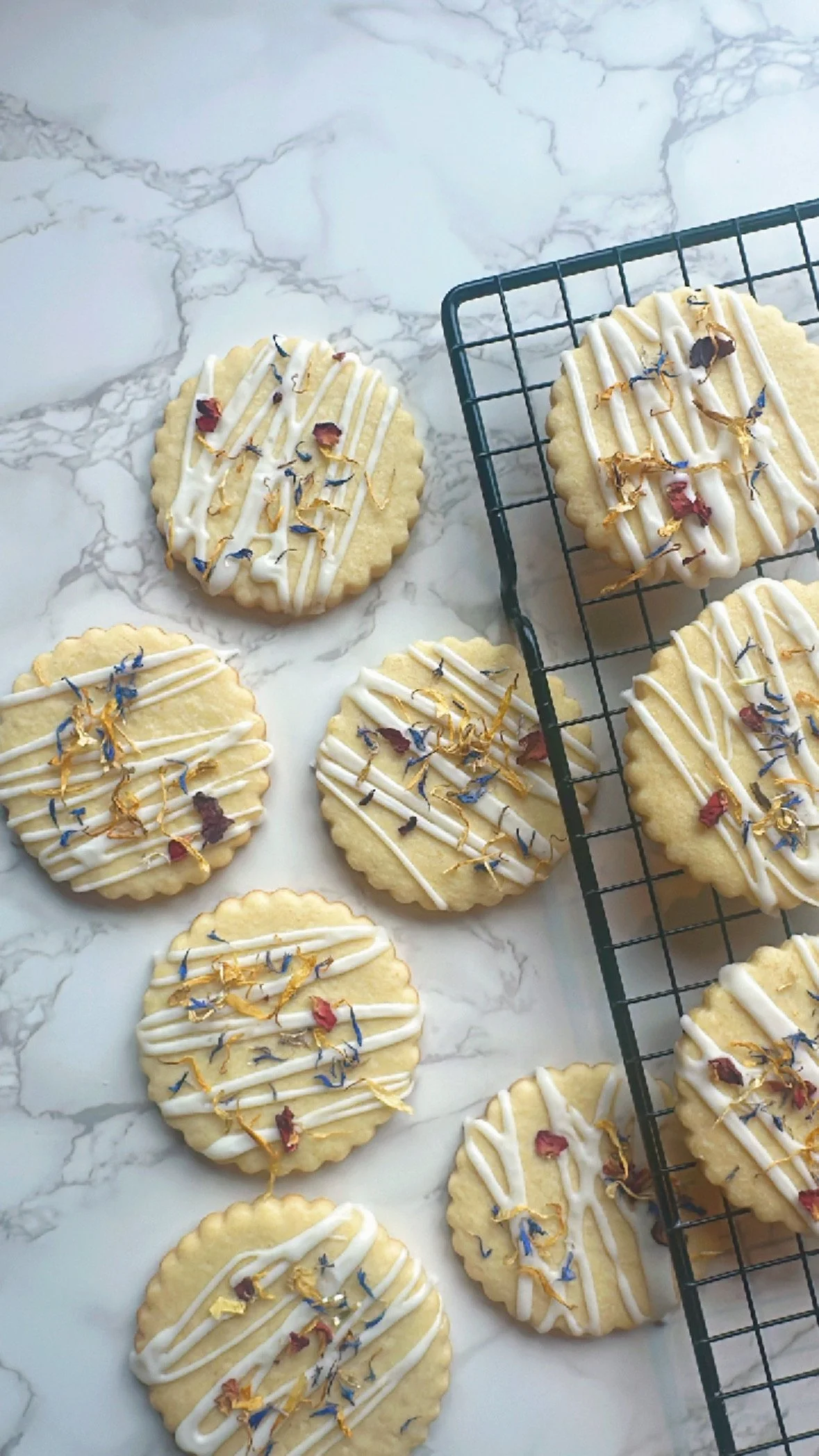 C4552635-137E-4F29-9EB6-4C0483CD5F30 2.jpeg