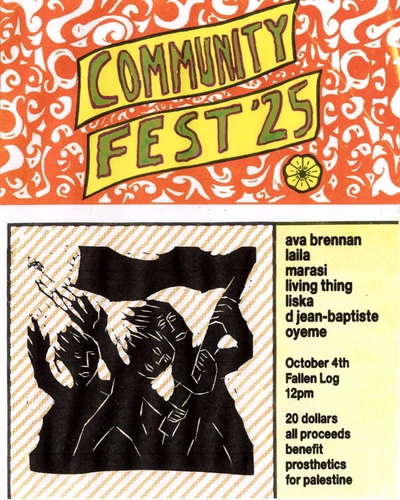 Chicago Community Fest