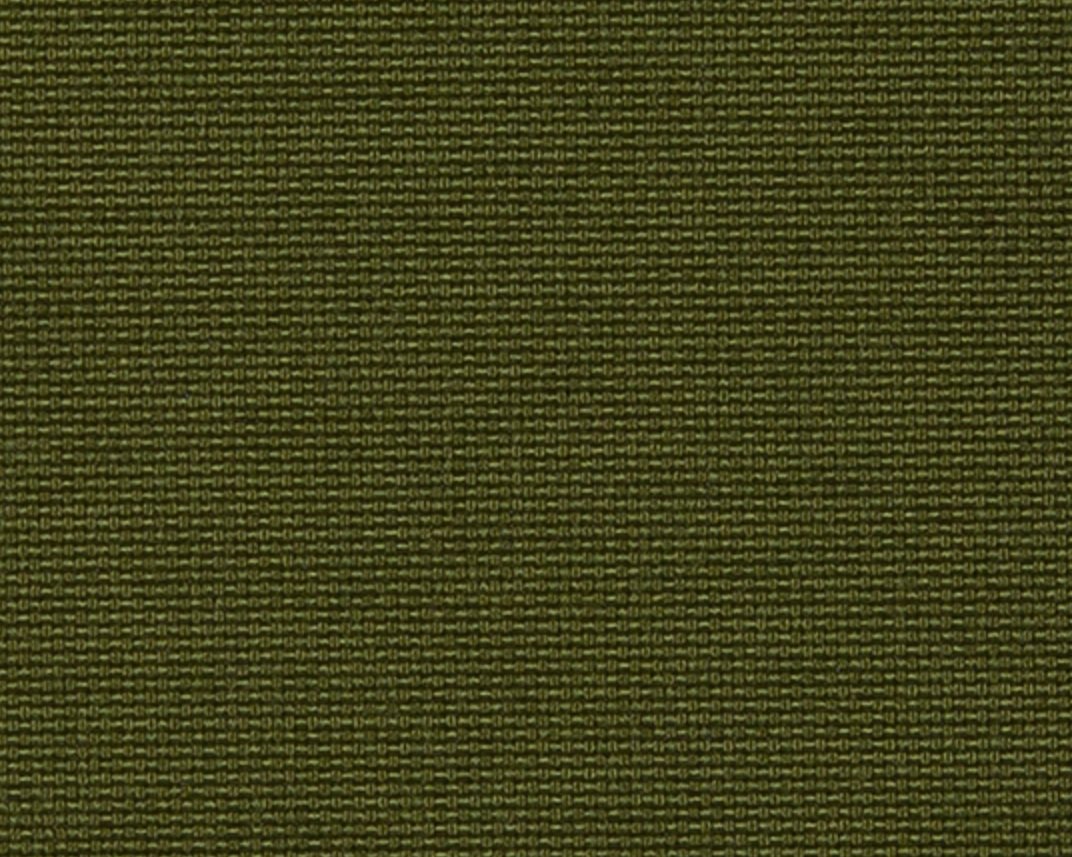 Screenshot+2025-02-25+at+8.07.59%E2%80%AFAM.jpg