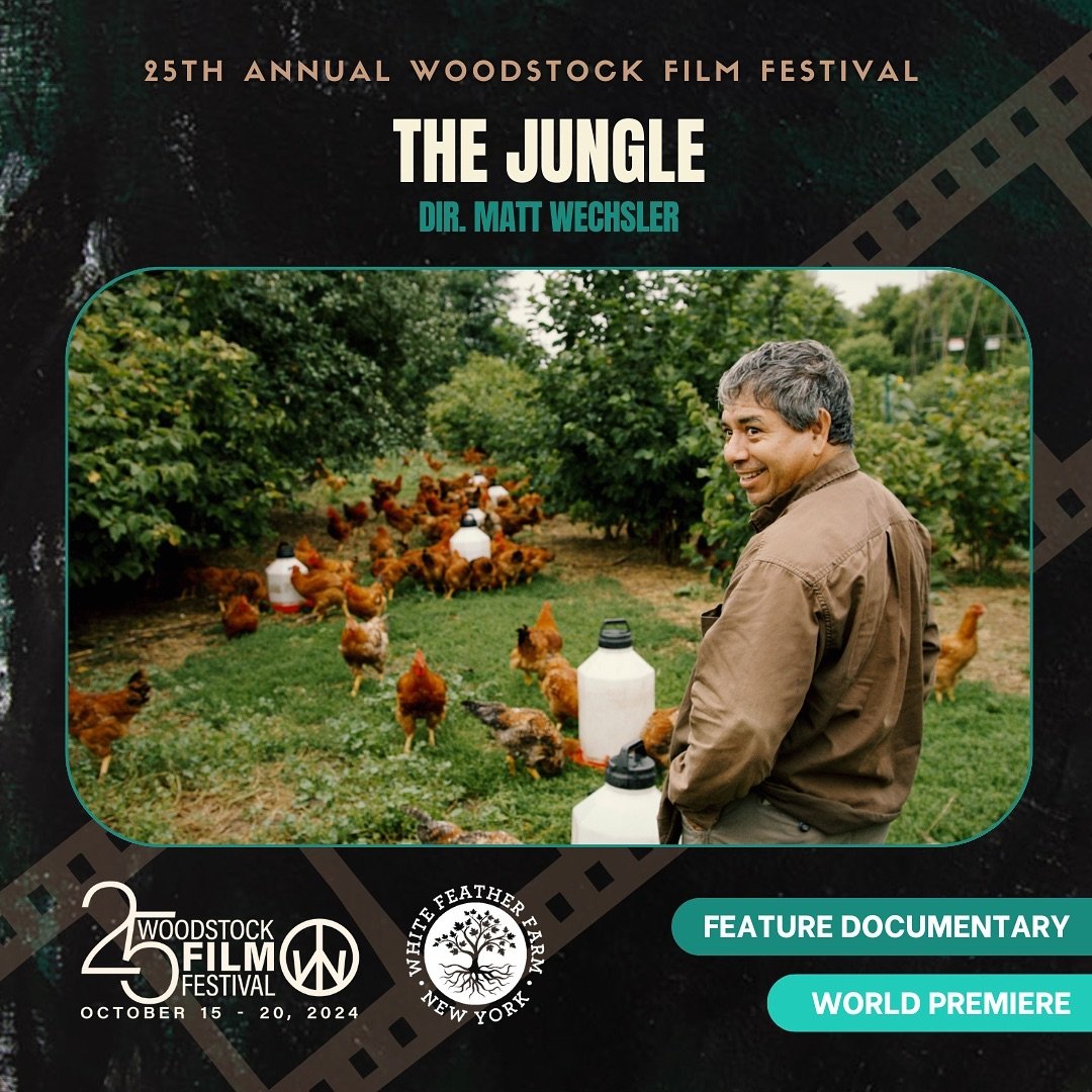 THE JUNGLE will be premiering at the 25th Annual Woodstock Film Festival on Tuesday, October 15th. We hope to see you there 🌳🐓 

Special thanks to:
@giganticpictures
@woodstockfilmfestival

#thejungledocumentary
#woodstockfilmfestival
#feedthejungl