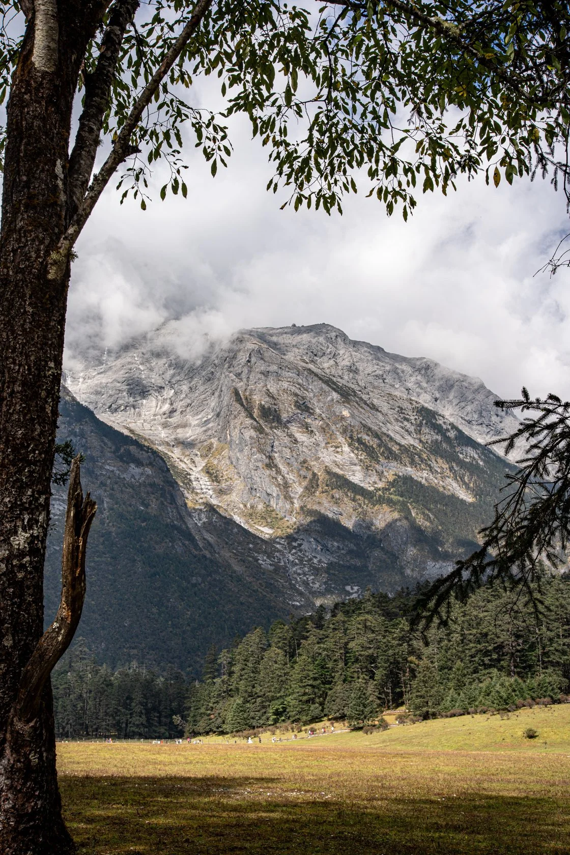 Jade Dragon Snow Mountain. Lijiang
