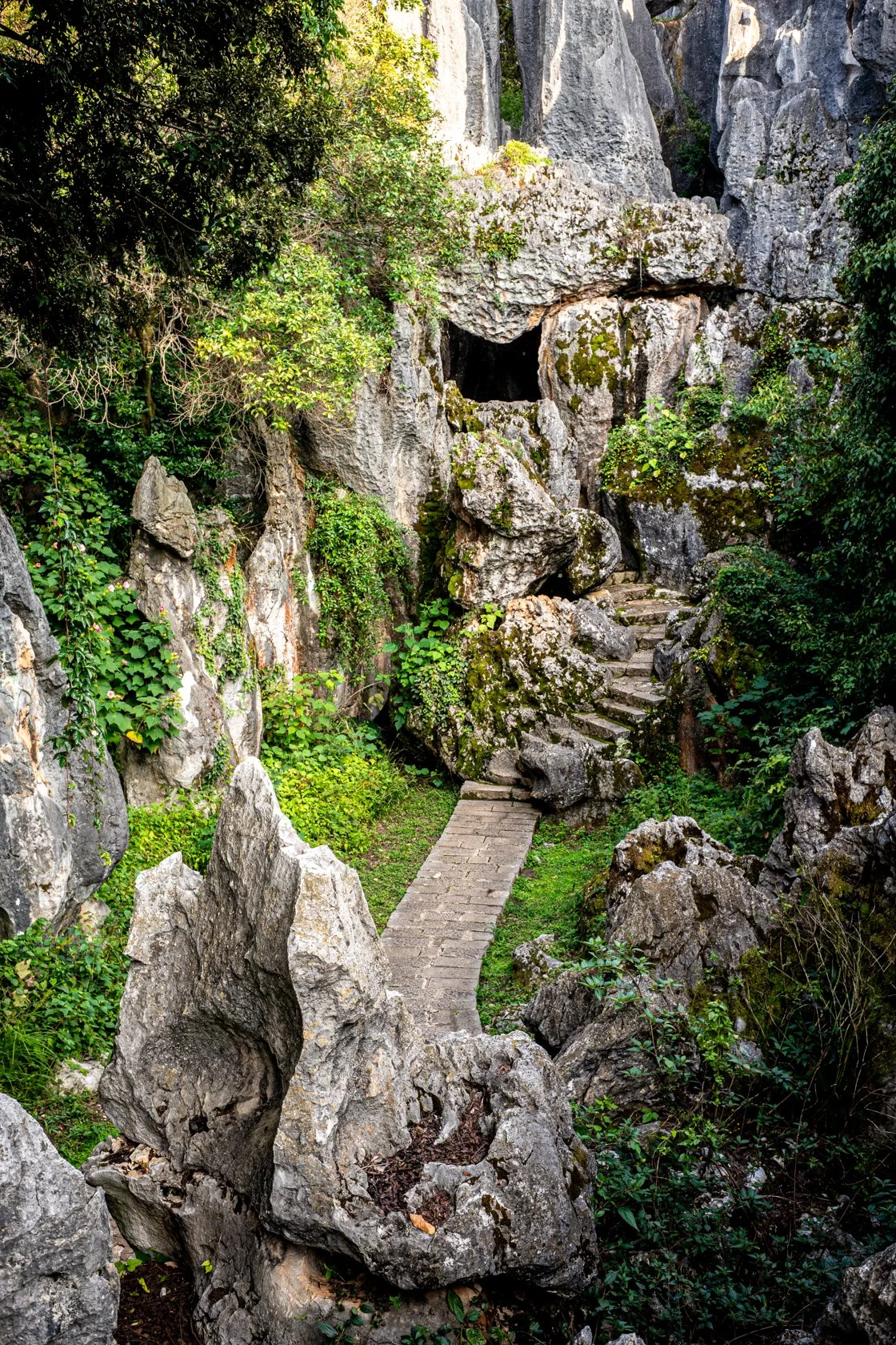 Stone Forest, Kunming China