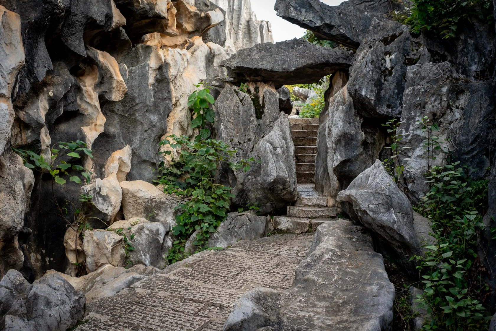 Stone Forest, Kunming China