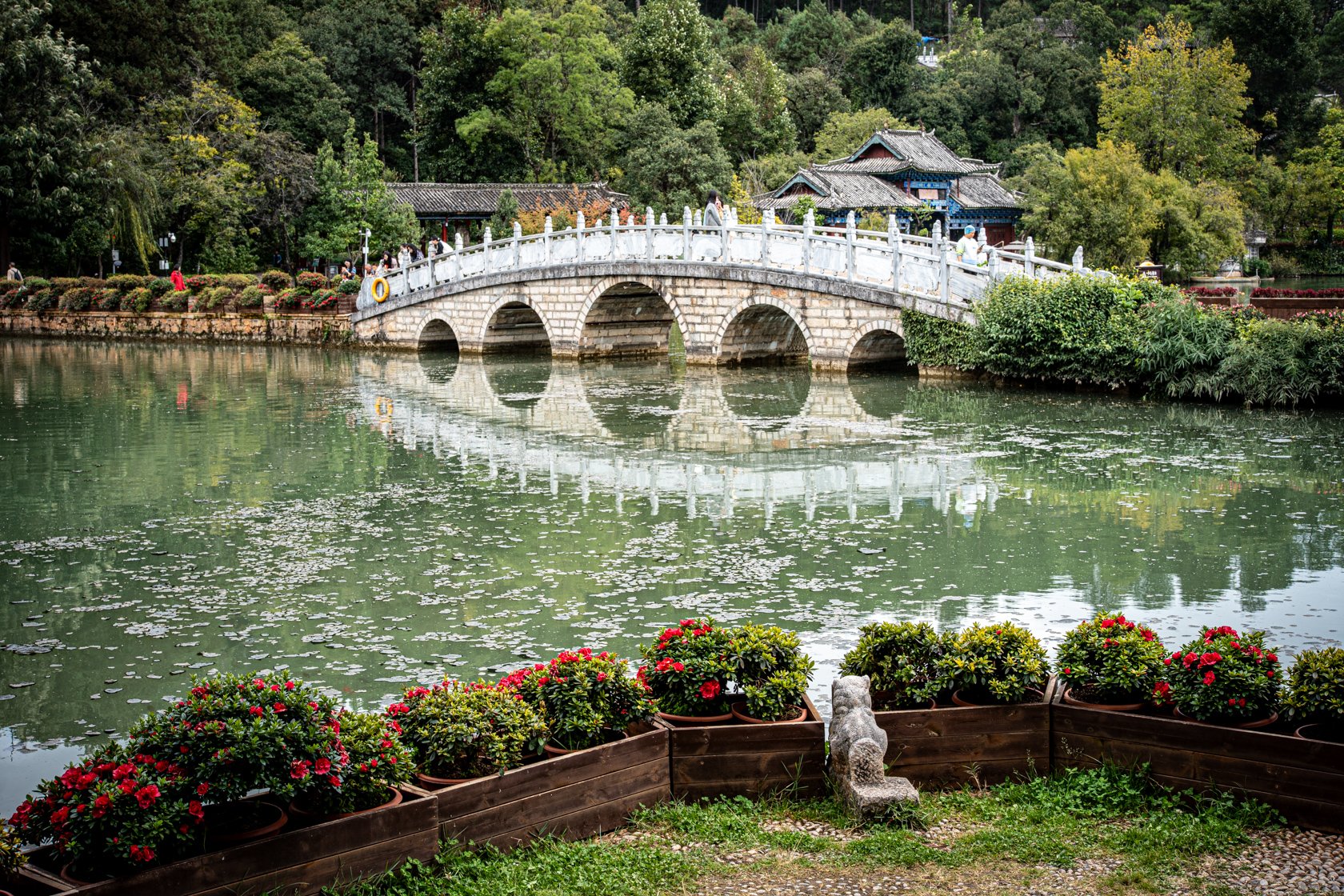 Bridge. Jade Spring Park, Lijiang
