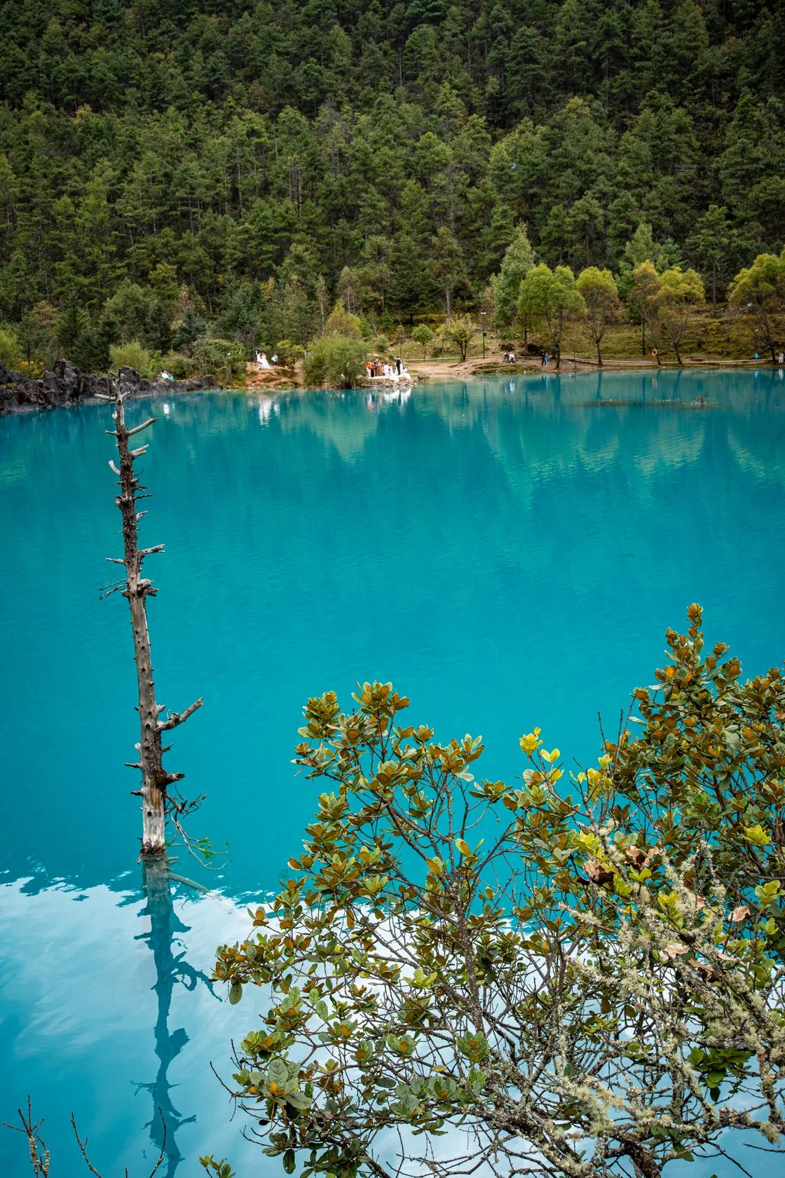 Blue-Moon Valley Jade Dragon Snow Mountain Park. Lijiang