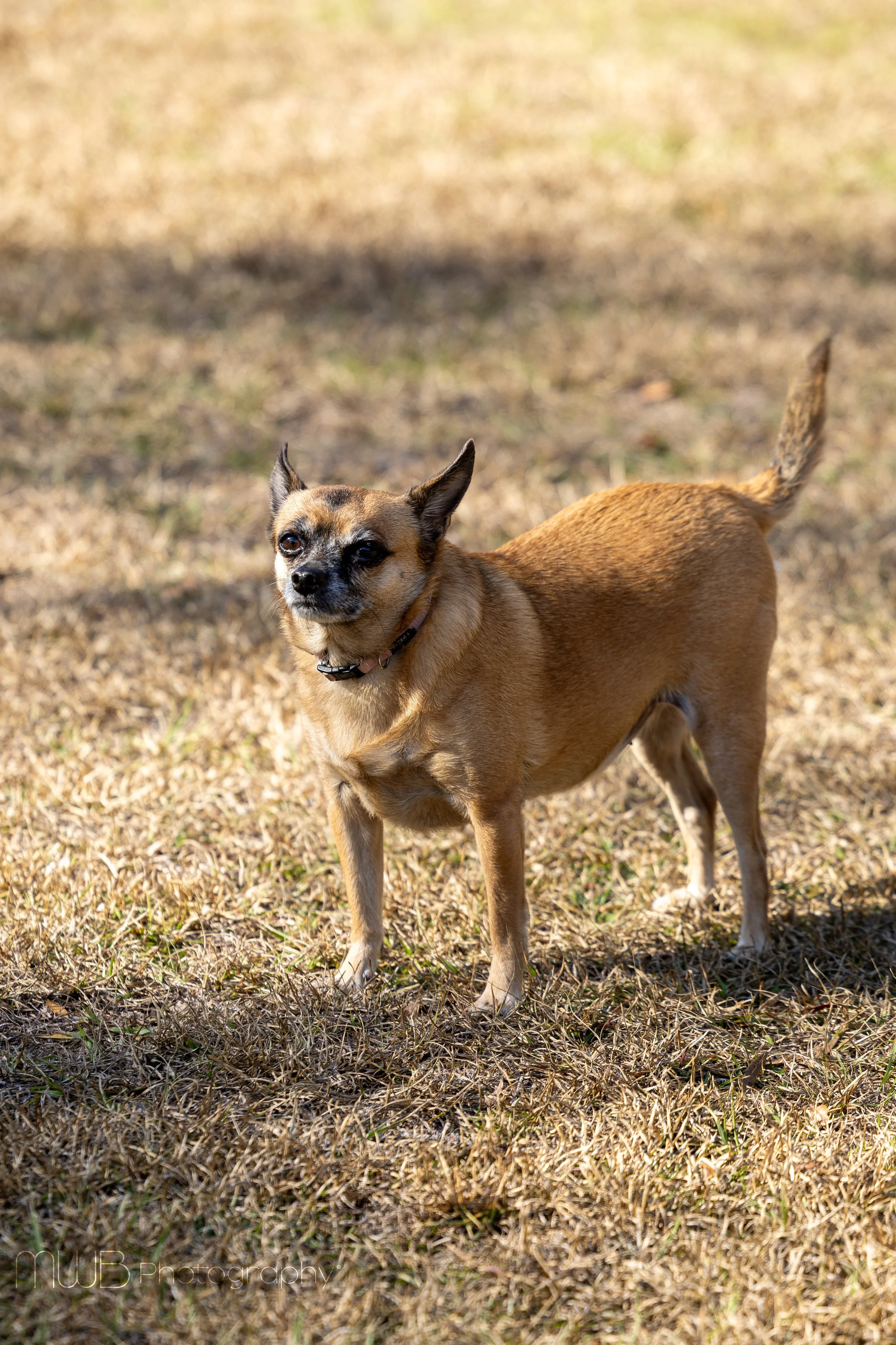 4L6A3960-pub.jpg