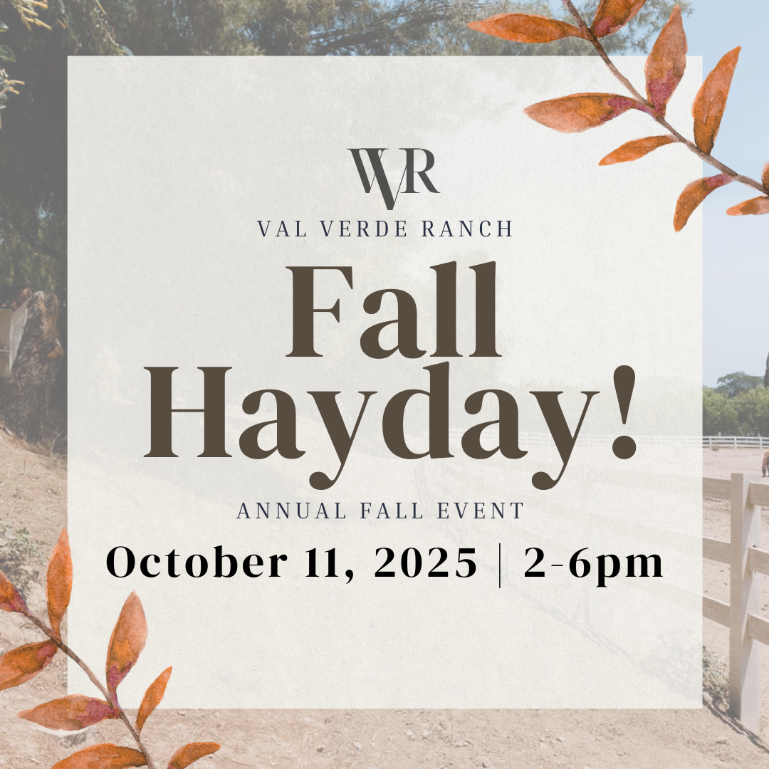 Fall Hayday!
