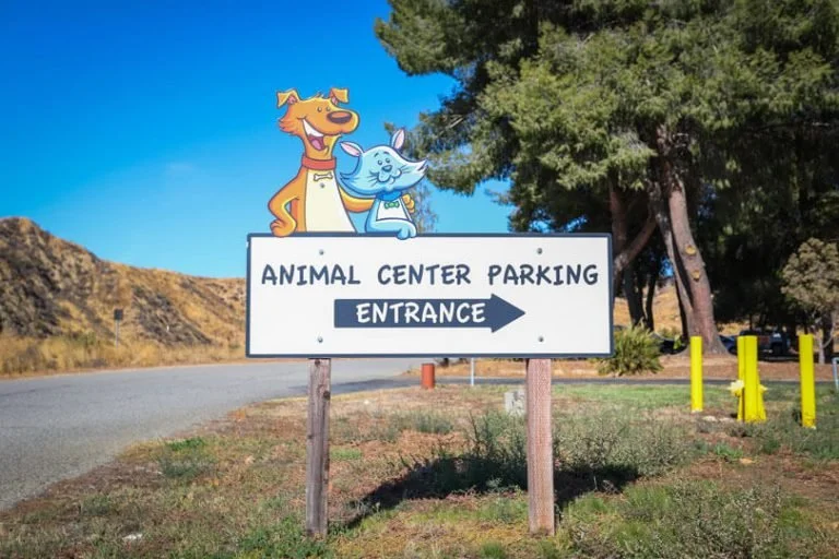 Castaic Animal Care Center Emergency Preparedness Adoption Event