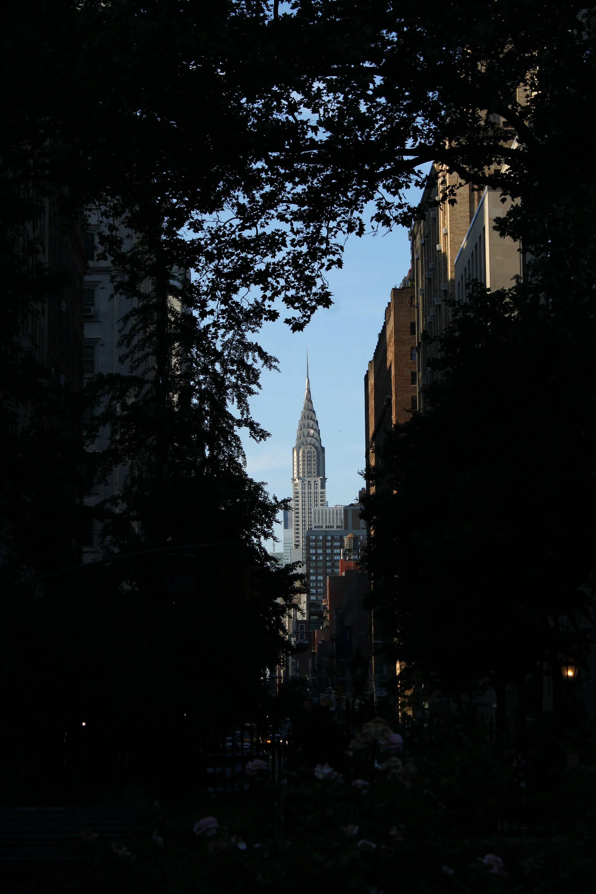 © 2024 Pablo Esteban (Steel Symphony)