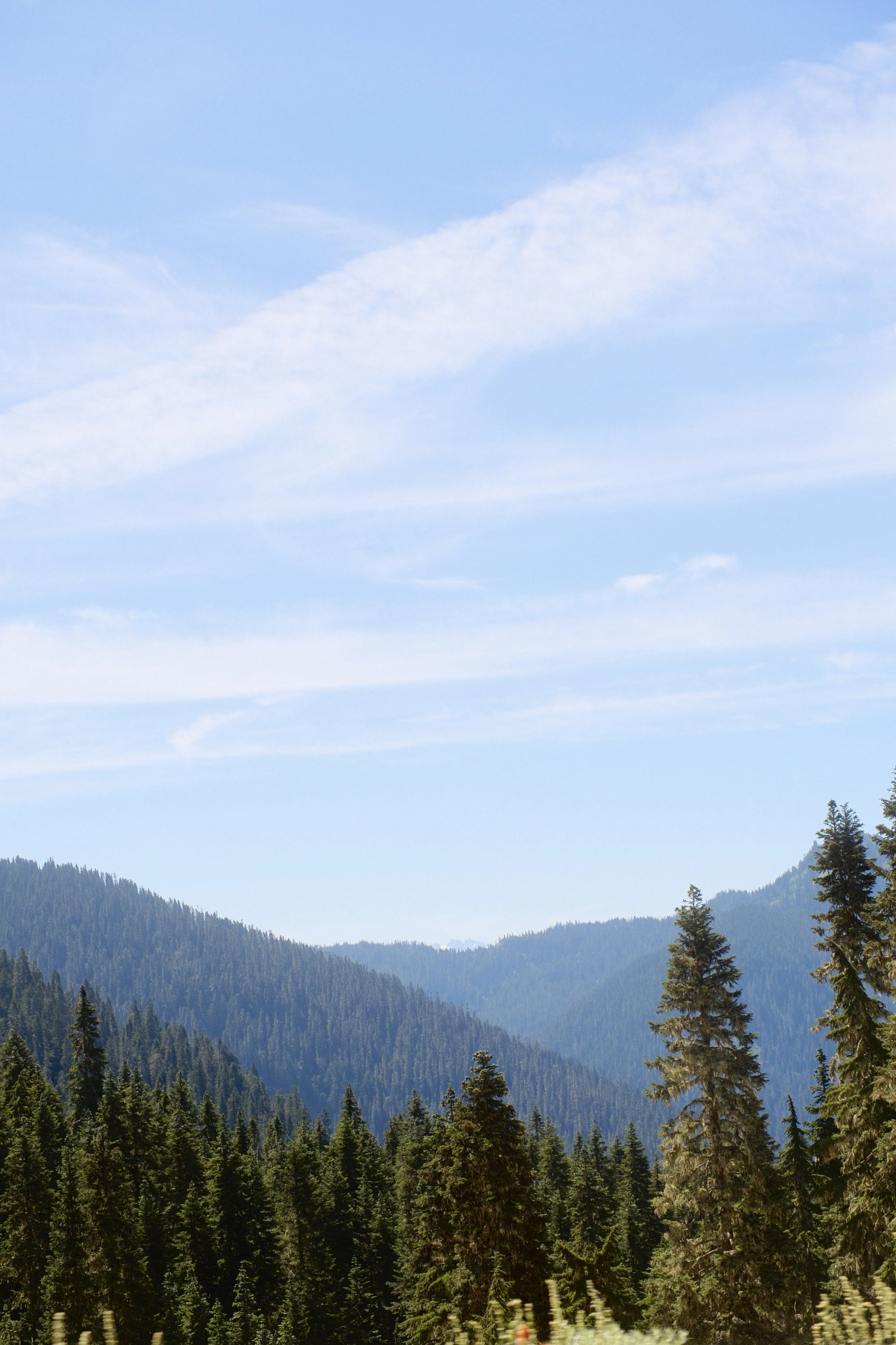 Scenic view of a forested mountain range with blue sky and some clouds.