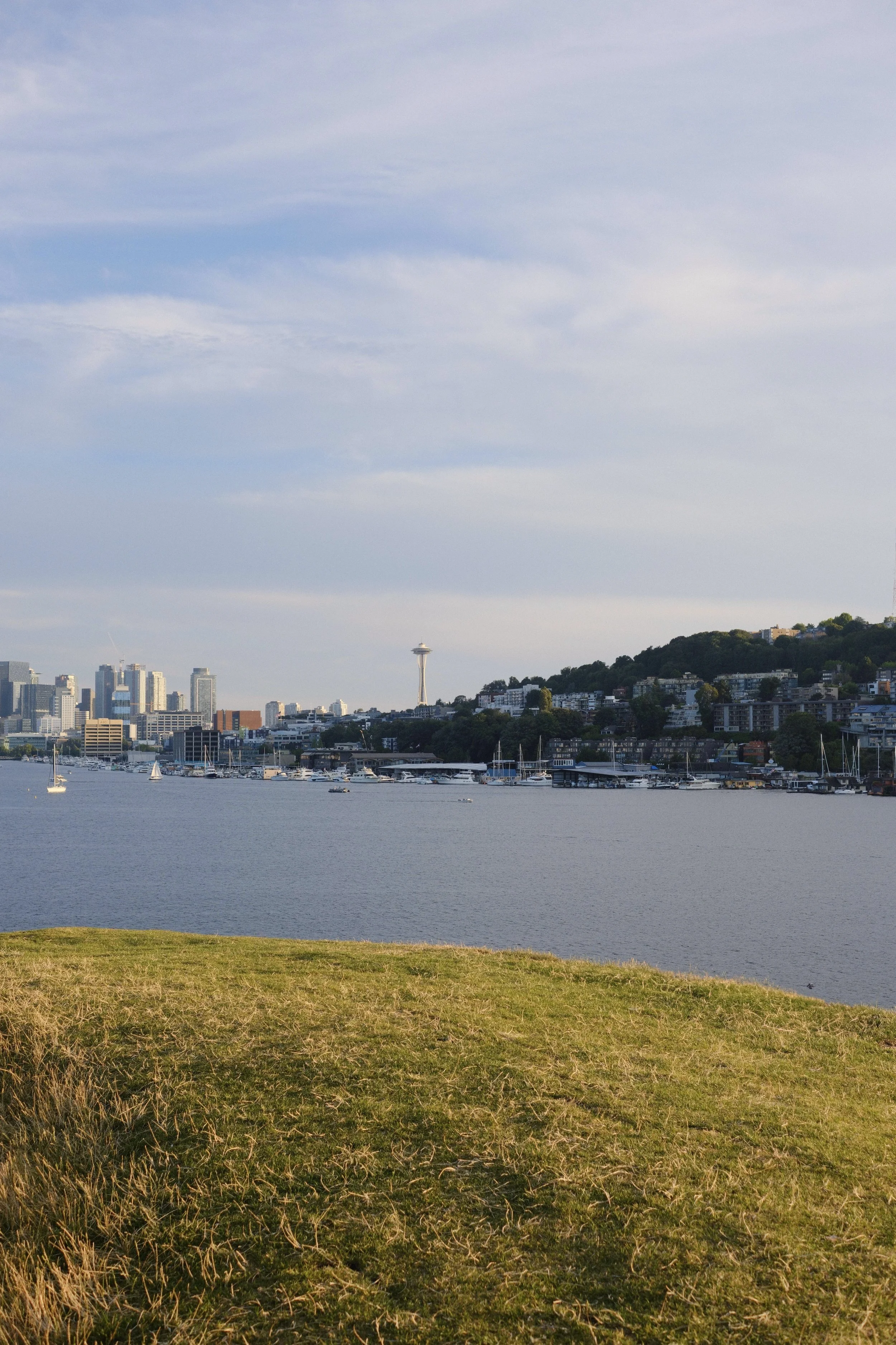 View of a city skyline across a body of water with sailboats, a hill with residential buildings, and the Space Needle in the distance, taken from a grassy area.