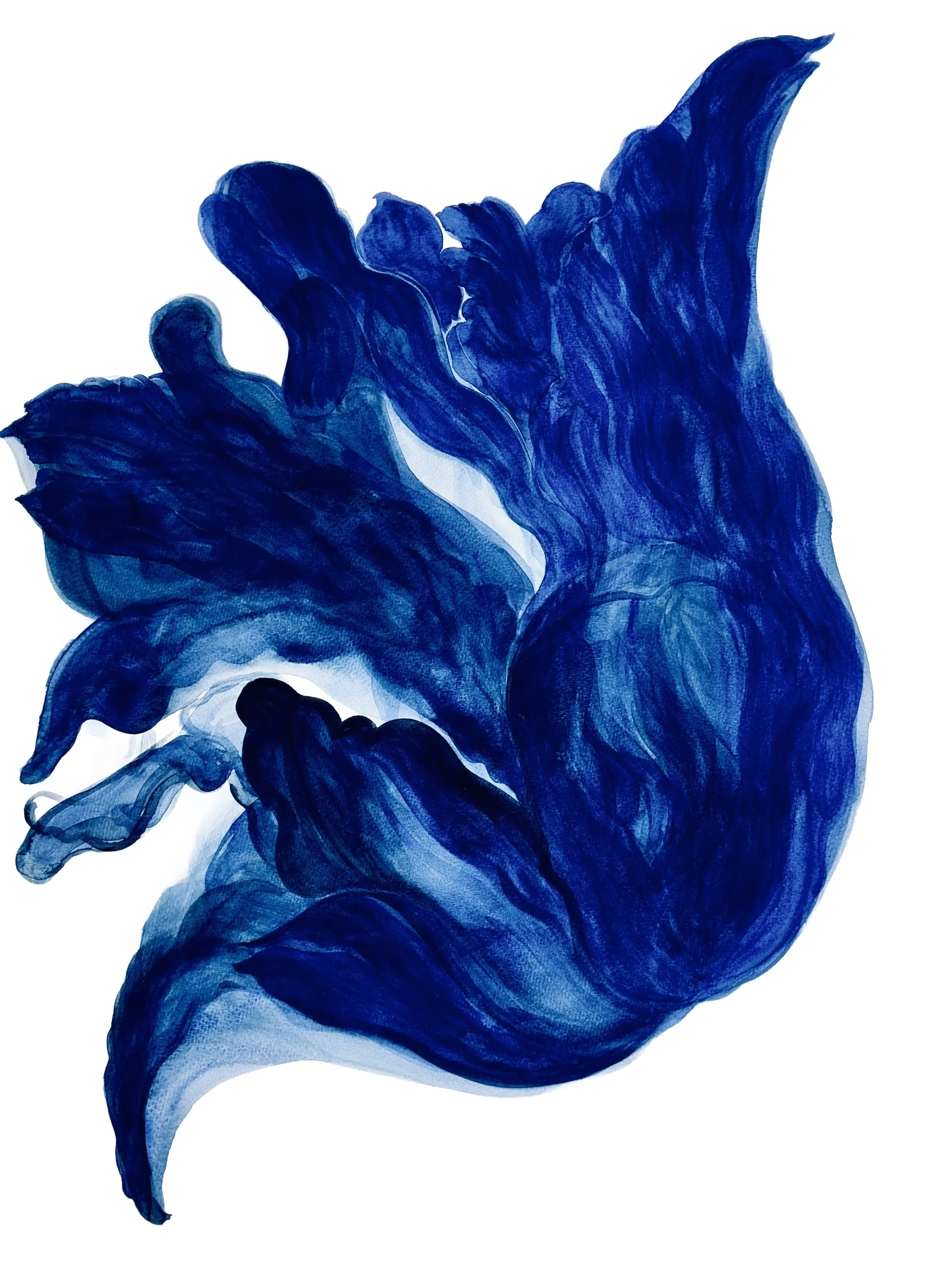 Contemporary Botanical Paintings