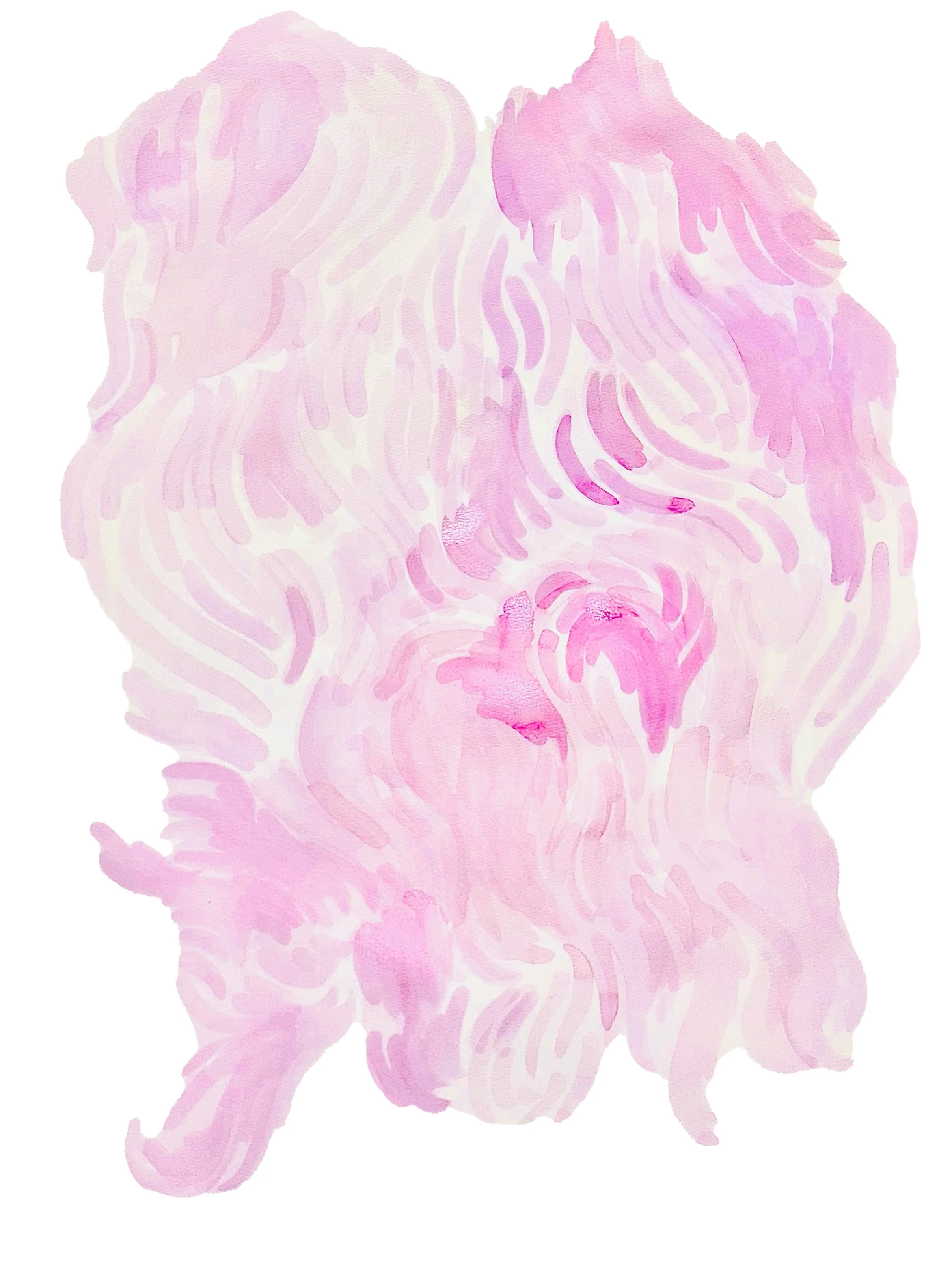 E0FE0085-E587-4F9A-98CB-D03E590C61DA.jpeg
