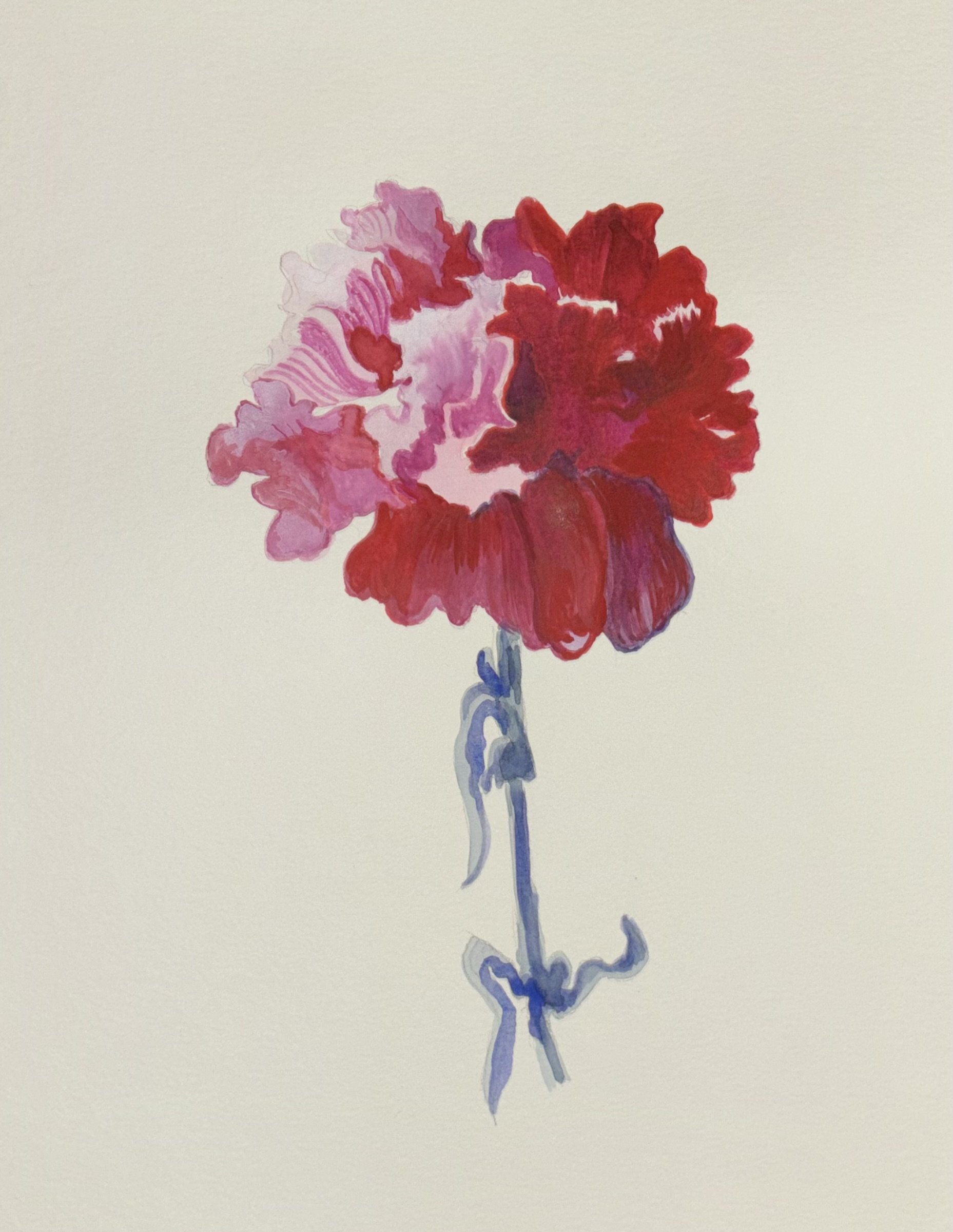 Contemporary Botanical Paintings