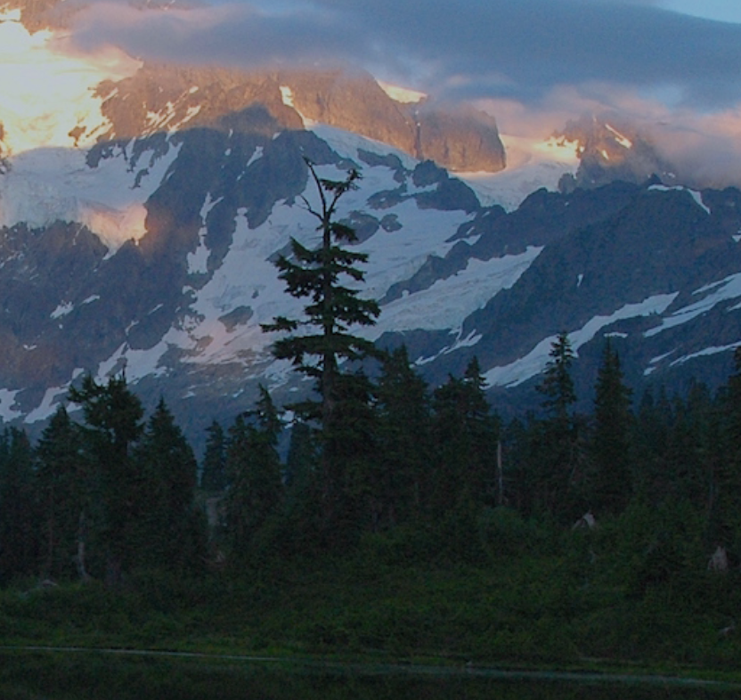 Heavy Rigging, High-Load Rigging for Yarding and Machine Rescue
