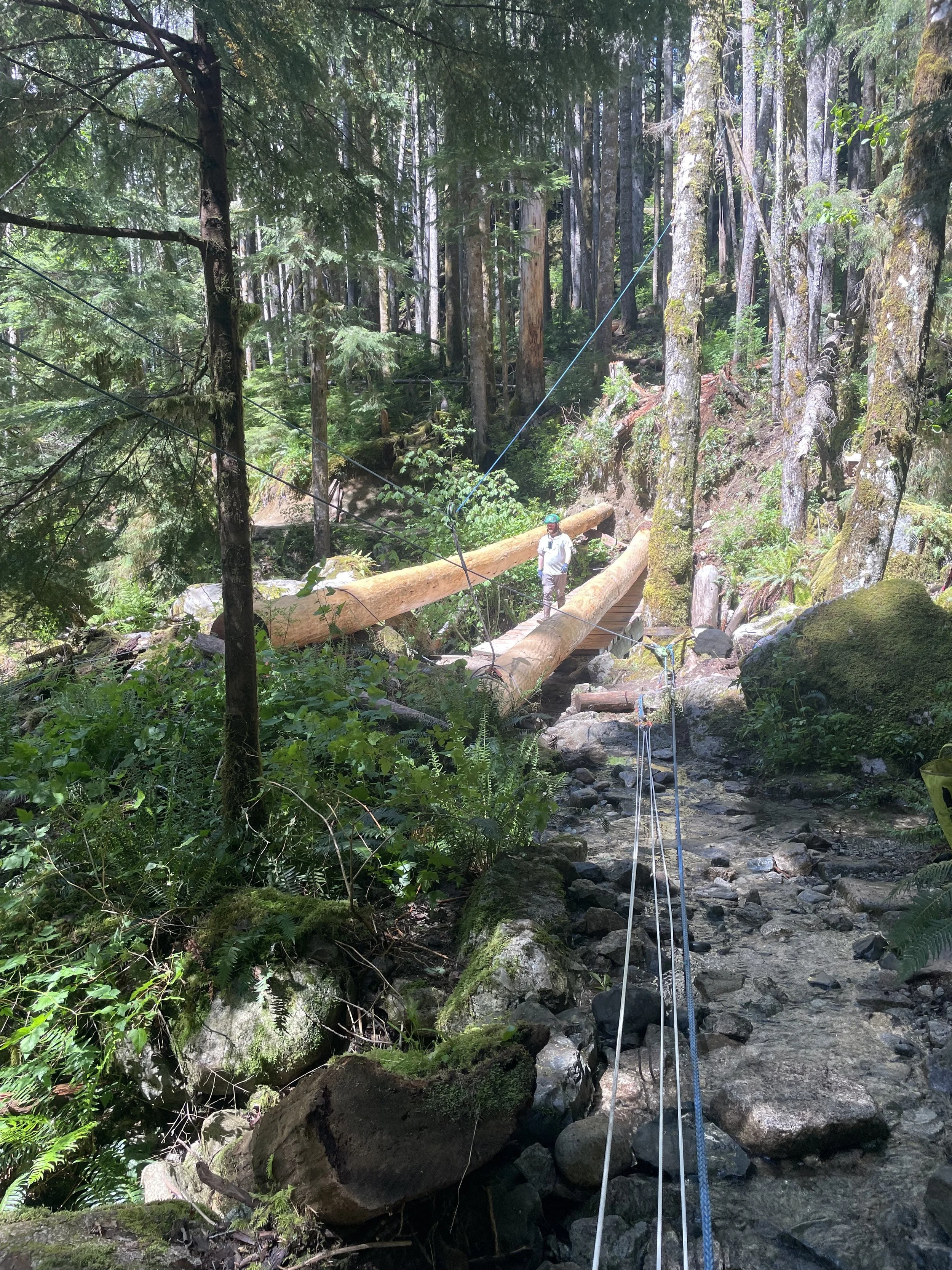 Heavy Rigging, High-Load Rigging for Yarding and Machine Rescue