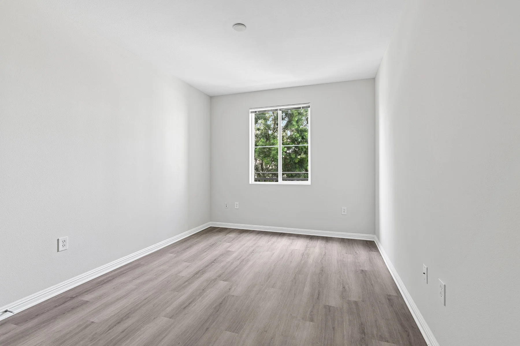 Second Bedroom in 3x2 Unit