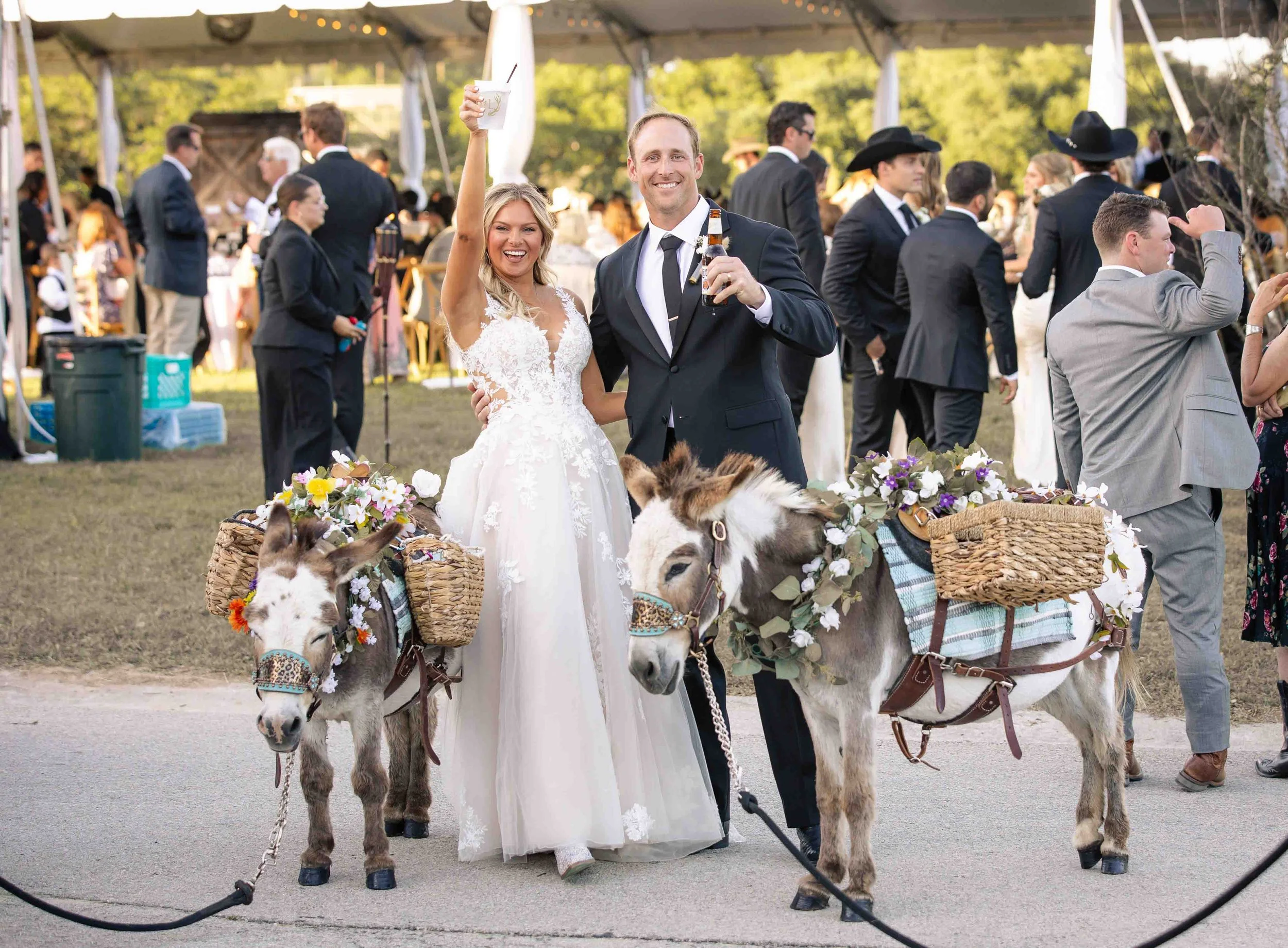 A bride and groom at their wedding reception with decorated donkeys in the foreground, surrounded by guests at an outdoor event under a tent.