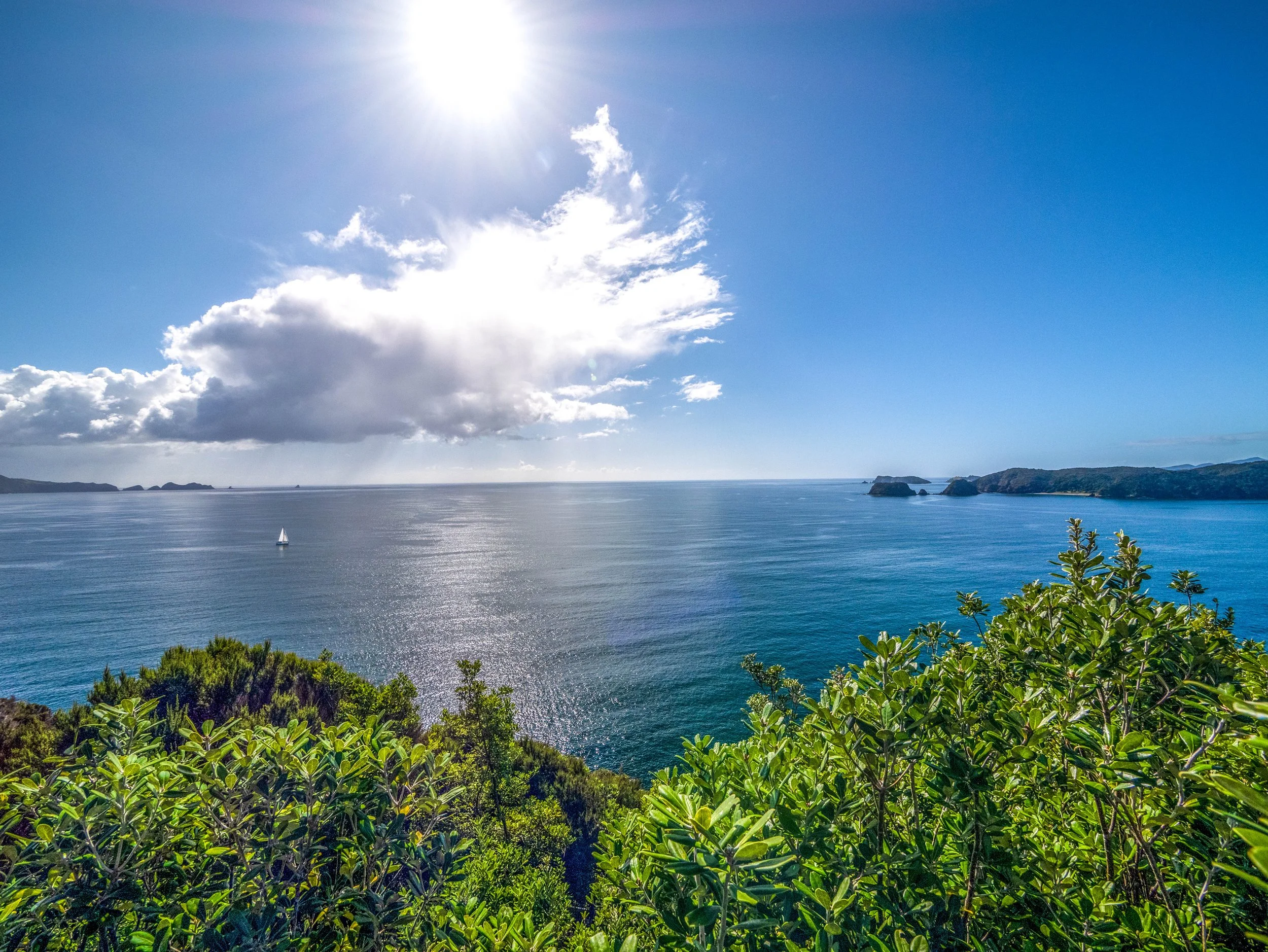 Roberton Island (75 of 78).jpg