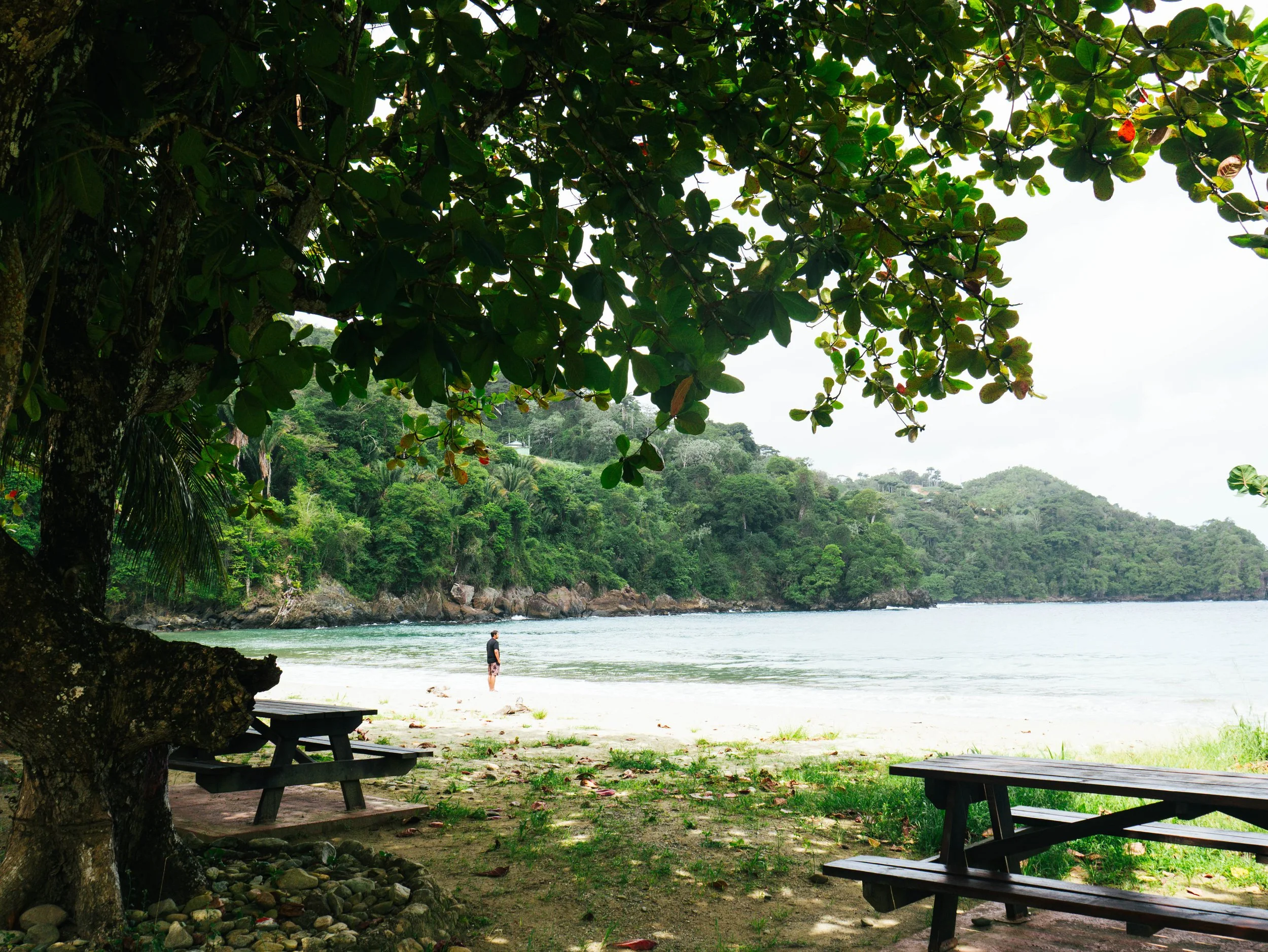 Beach scene with two picnic tables under a large leafy tree, a man standing near the shoreline, and lush green hills in the background under a cloudy sky.