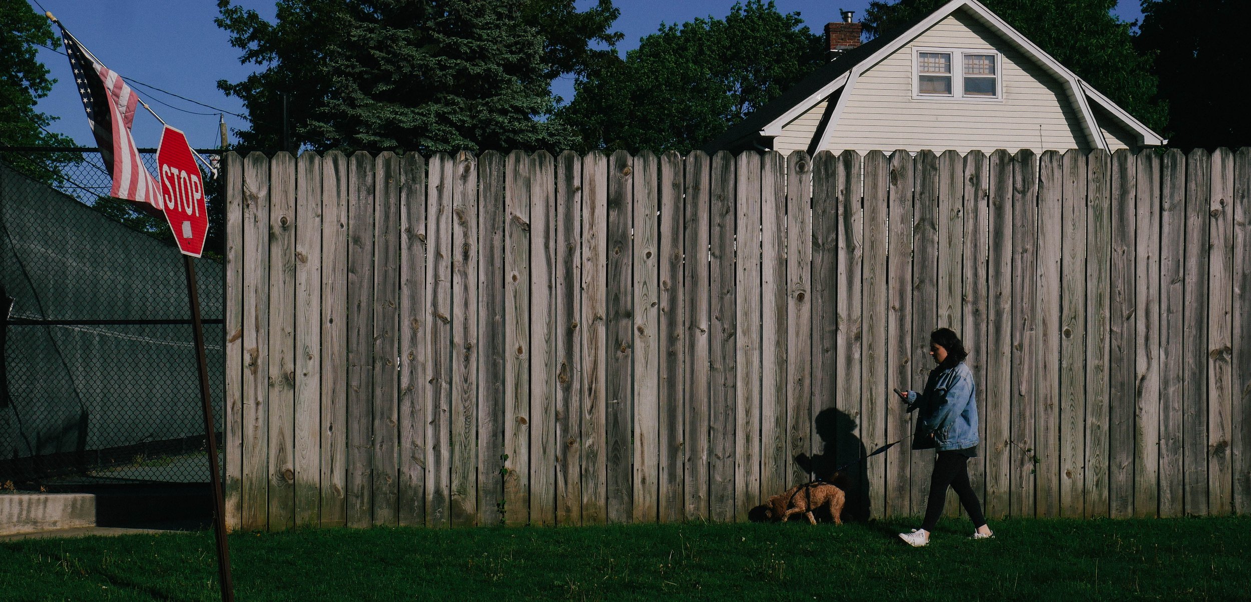 A woman walks her dog past a tall wooden fence on a sunny day, with a stop sign and American flag on the left and a house with a gabled roof in the background.