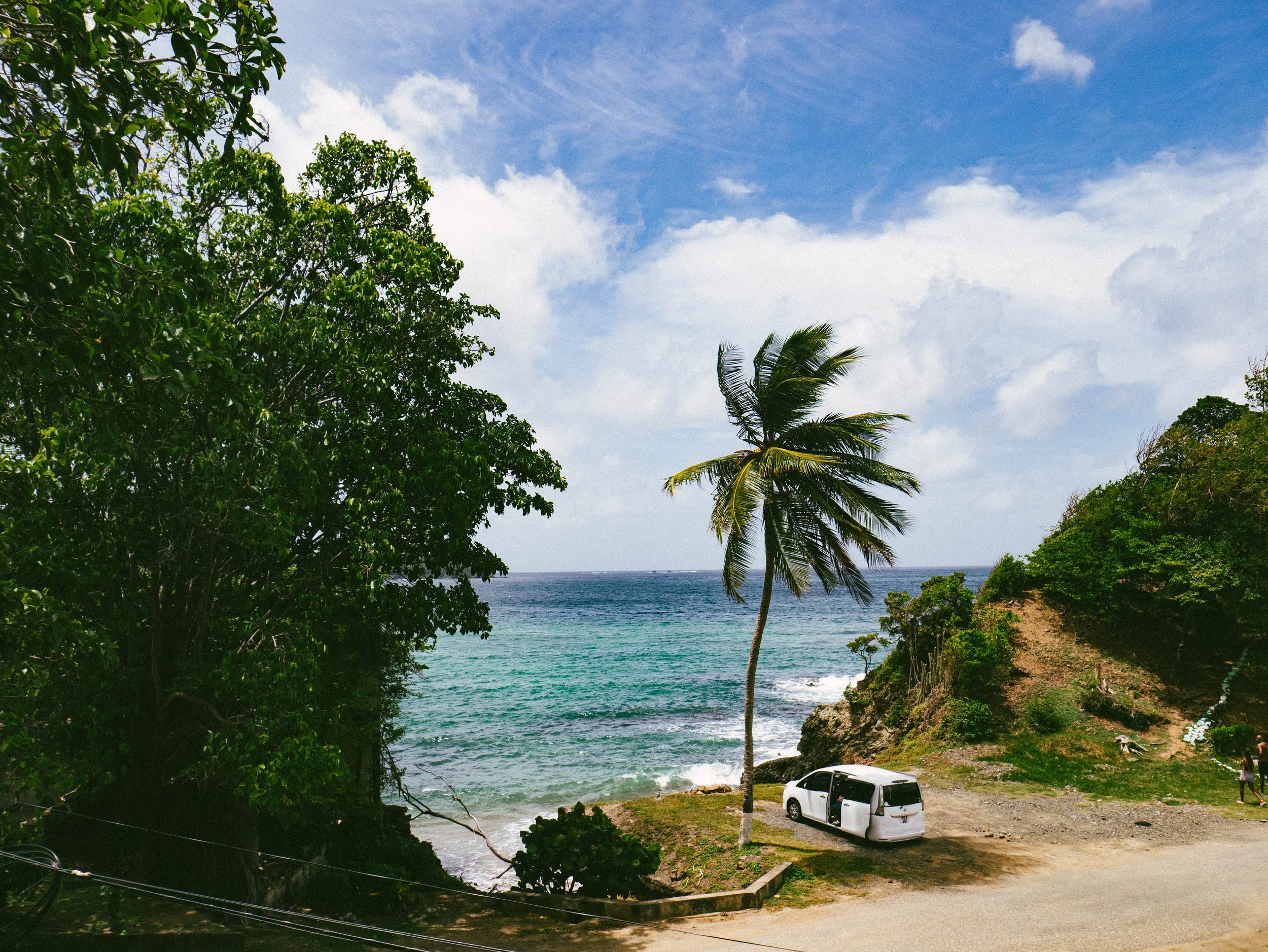 A tropical beach scene with a single palm tree, green foliage, a white vehicle parked on a dirt path, and the ocean in the background under a blue sky with some clouds.