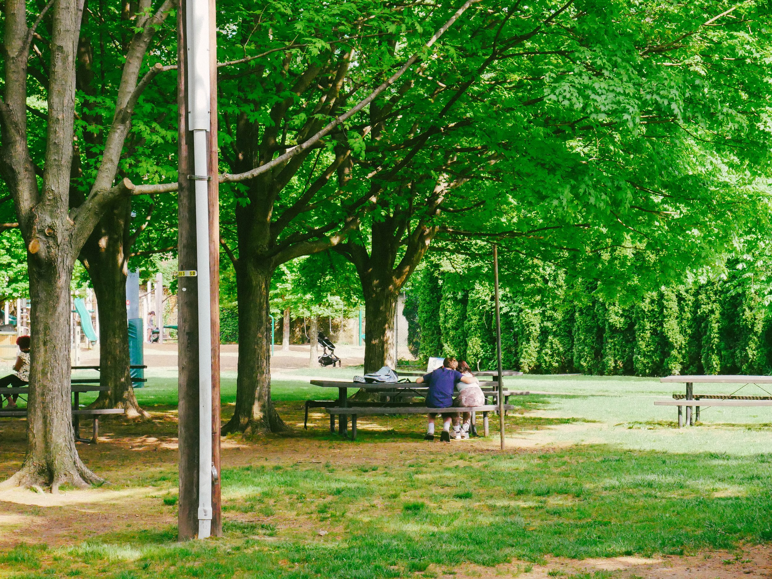 A park with green trees, picnic tables, grass, and a couple sitting on a bench, talking or resting together.