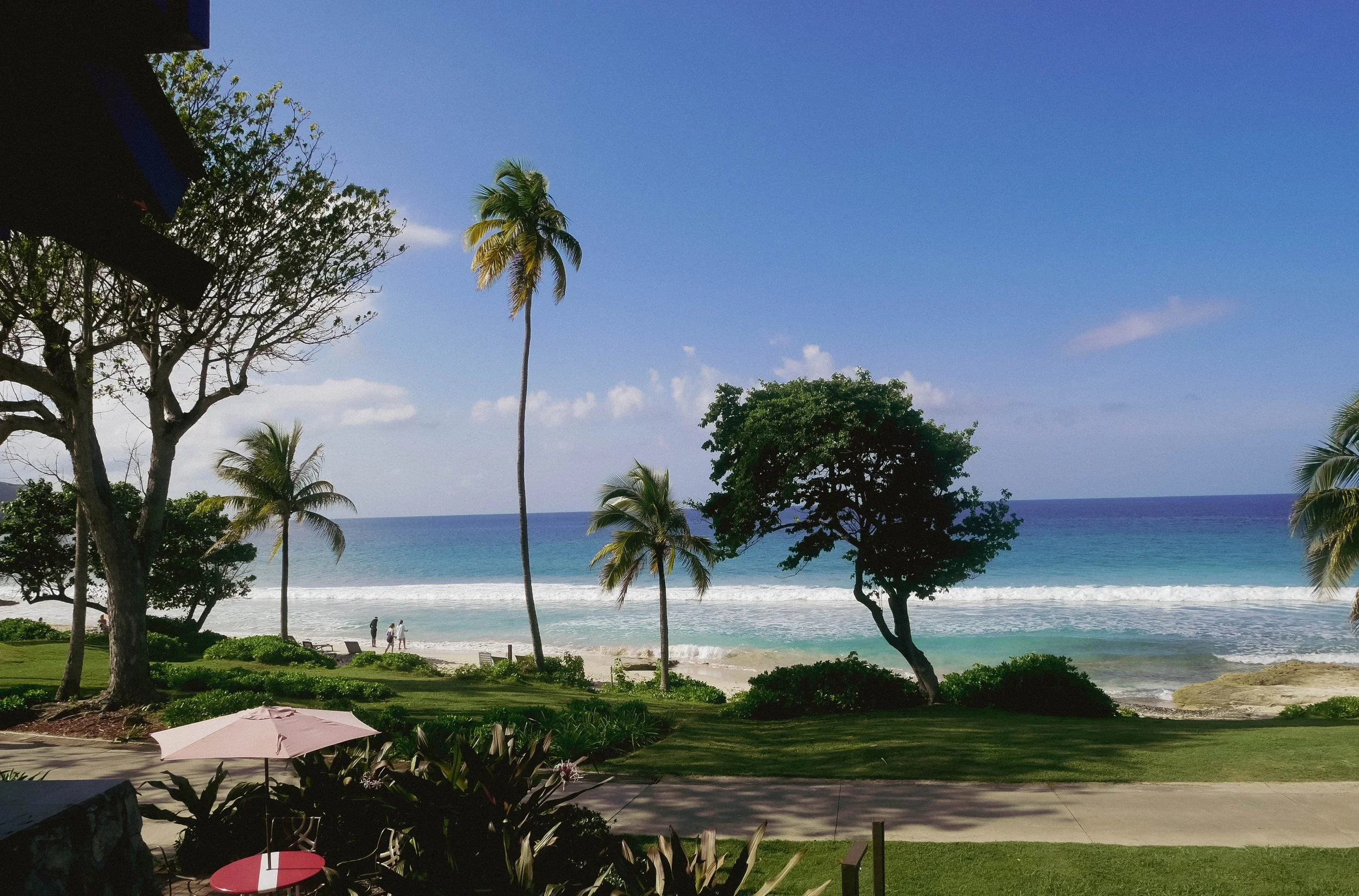 Beach scene with blue sky, ocean waves, palm trees, and a few people walking on the sand, seen from a grassy area with patio furniture and an umbrella.