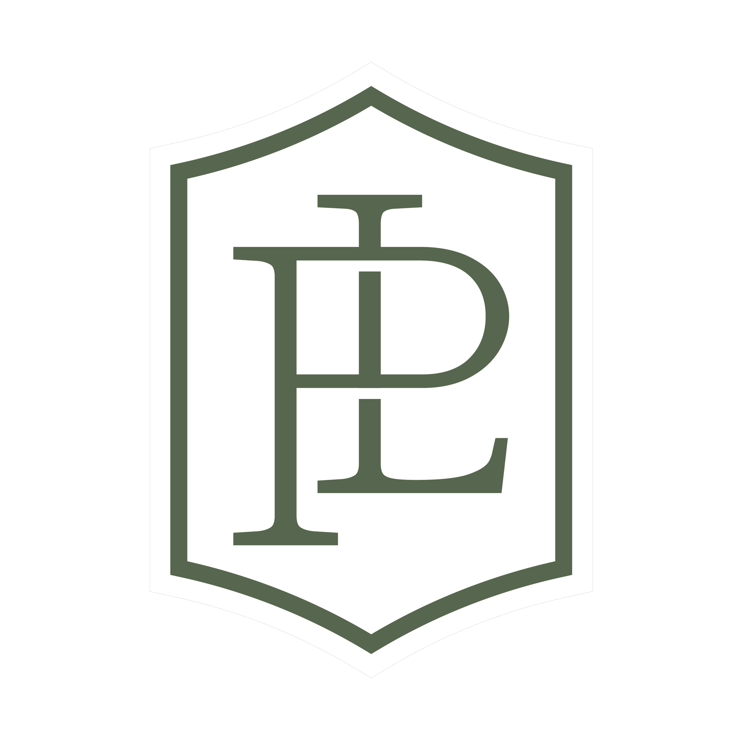 A black and white logo of a stylized house with layered rooflines and the text 'DaB' integrated into the design.