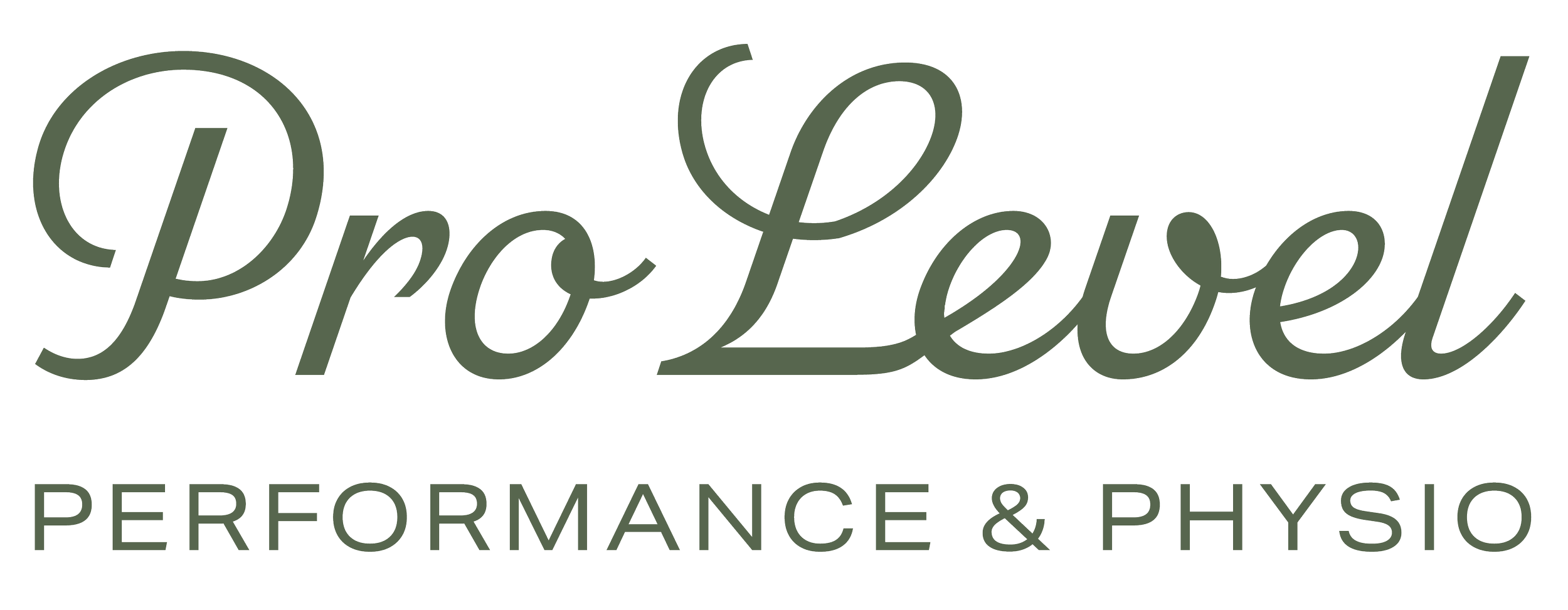 ProLuxe Performance & Physio logo in stylized cursive font with green color.