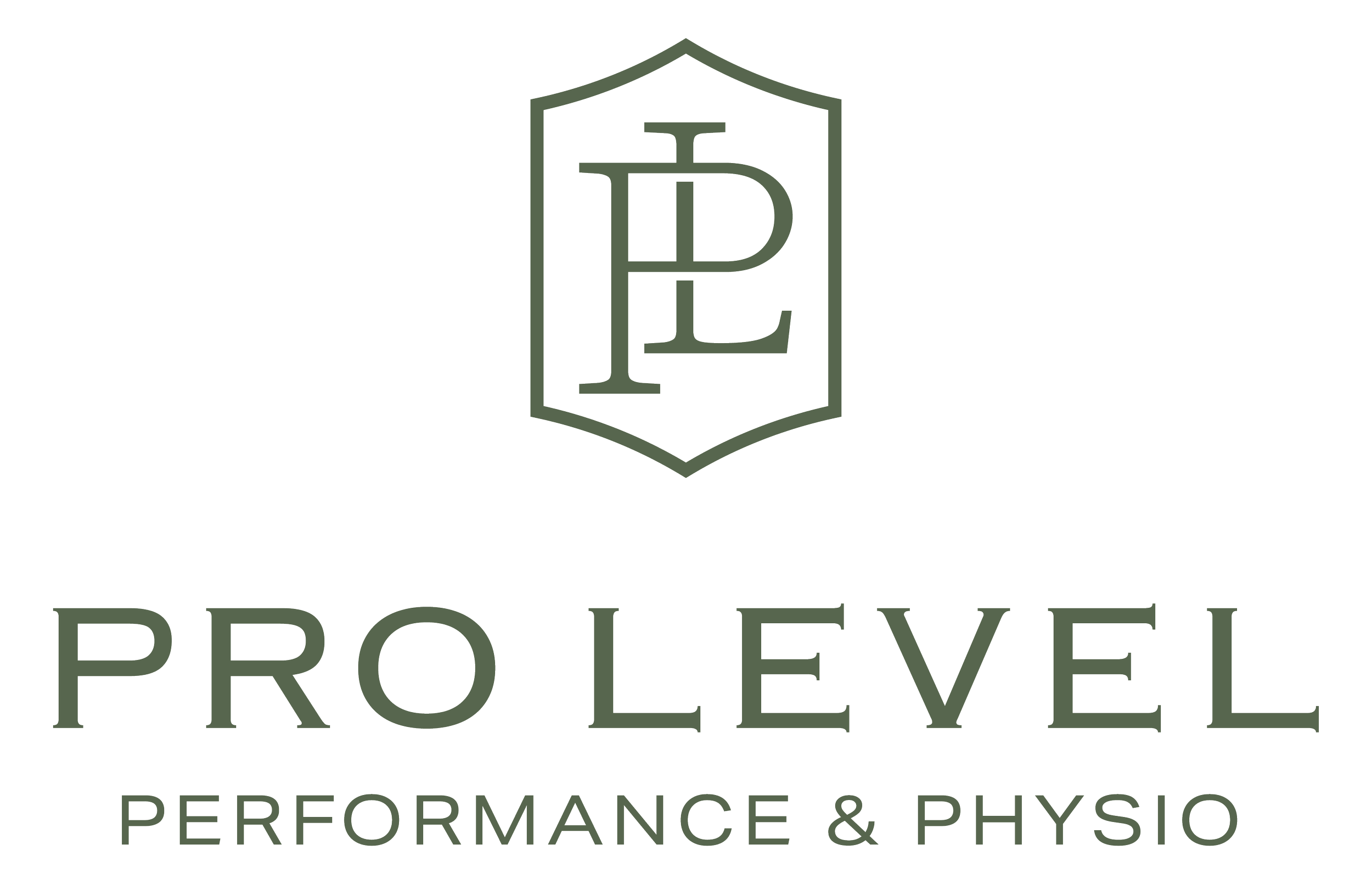 Logo for Pro Level Performance & Physio featuring an emblem with the letters P and E inside a shield shape, and the company name written below.