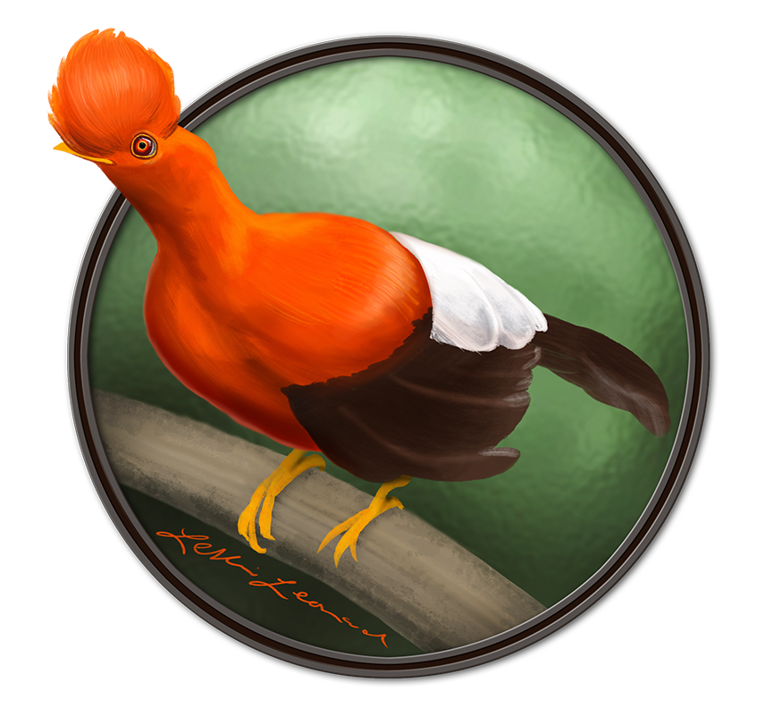 2026 Birbfest - 8 Andean Cock-of-the-Rock copy.png