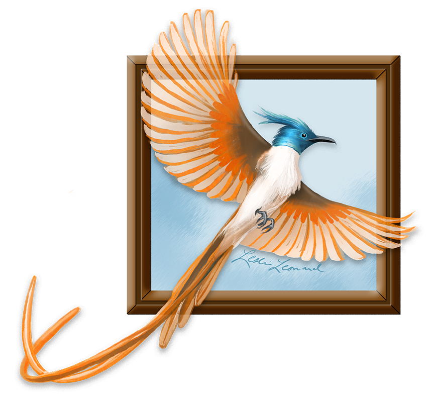 2026 Birbfest - 9 Indian Flycatcher copy.png
