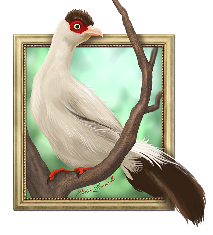 2026 Birbfest - 13 White-Eared Pheasant copy.png