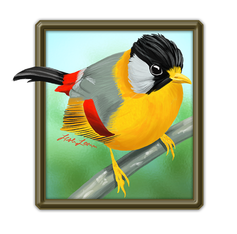 2026 Birbfest - 14 Silver-eared Mesia copy.png