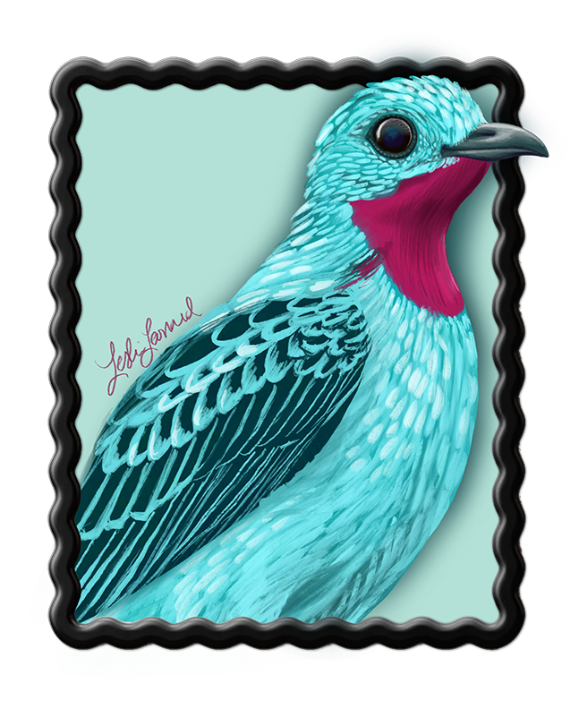 2026 Birbfest - 17 Spangled Cotinga copy.png