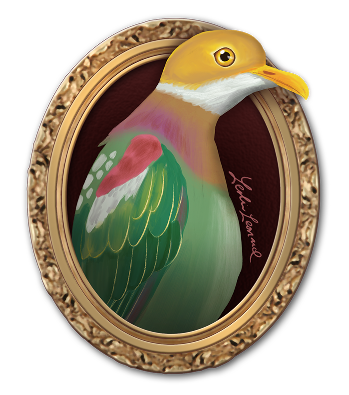 2026 Birbfest - 21 Ornate Fruit Dove copy.png